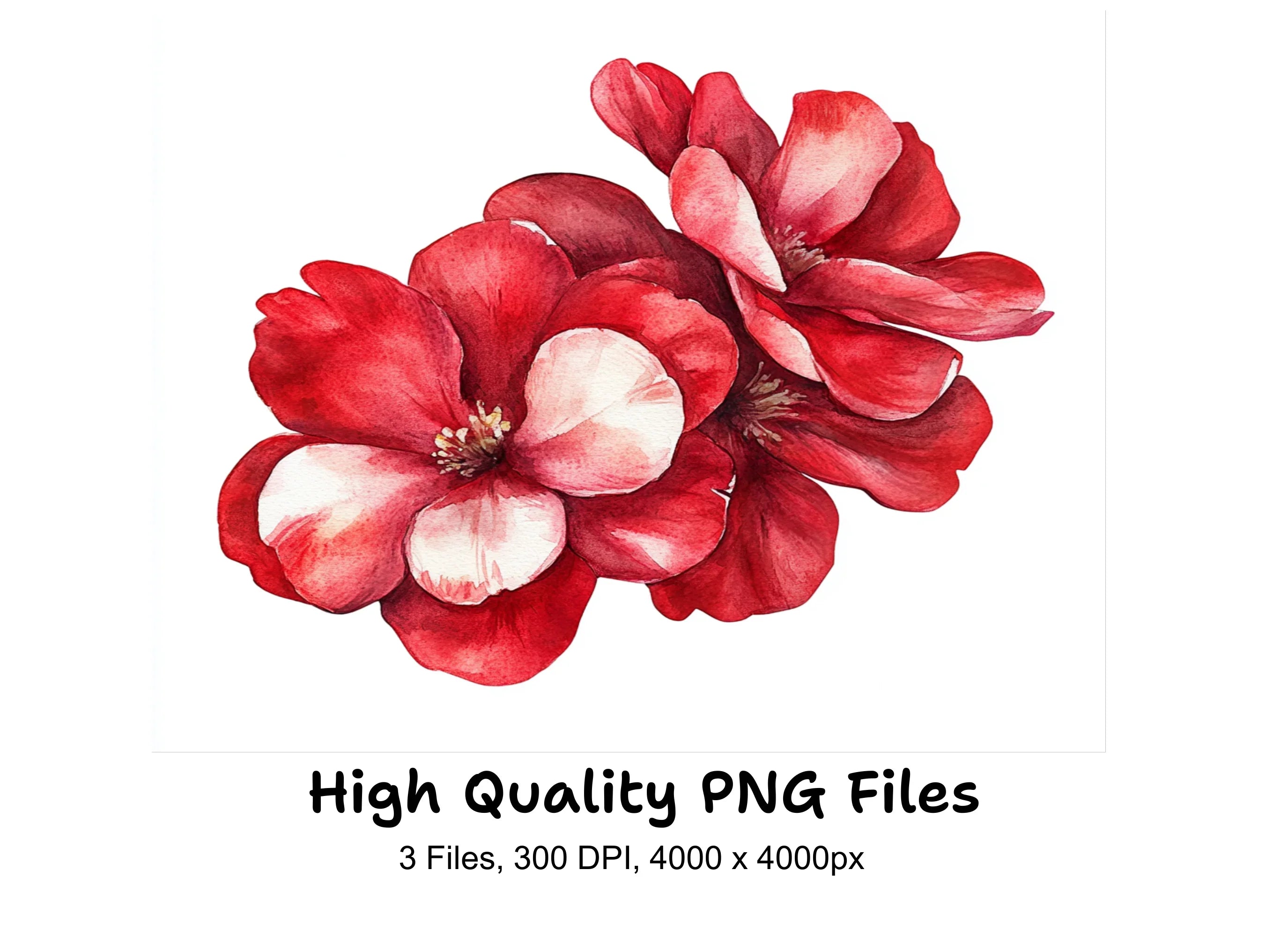 Vibrant Red Flower Petals Clipart Bundle