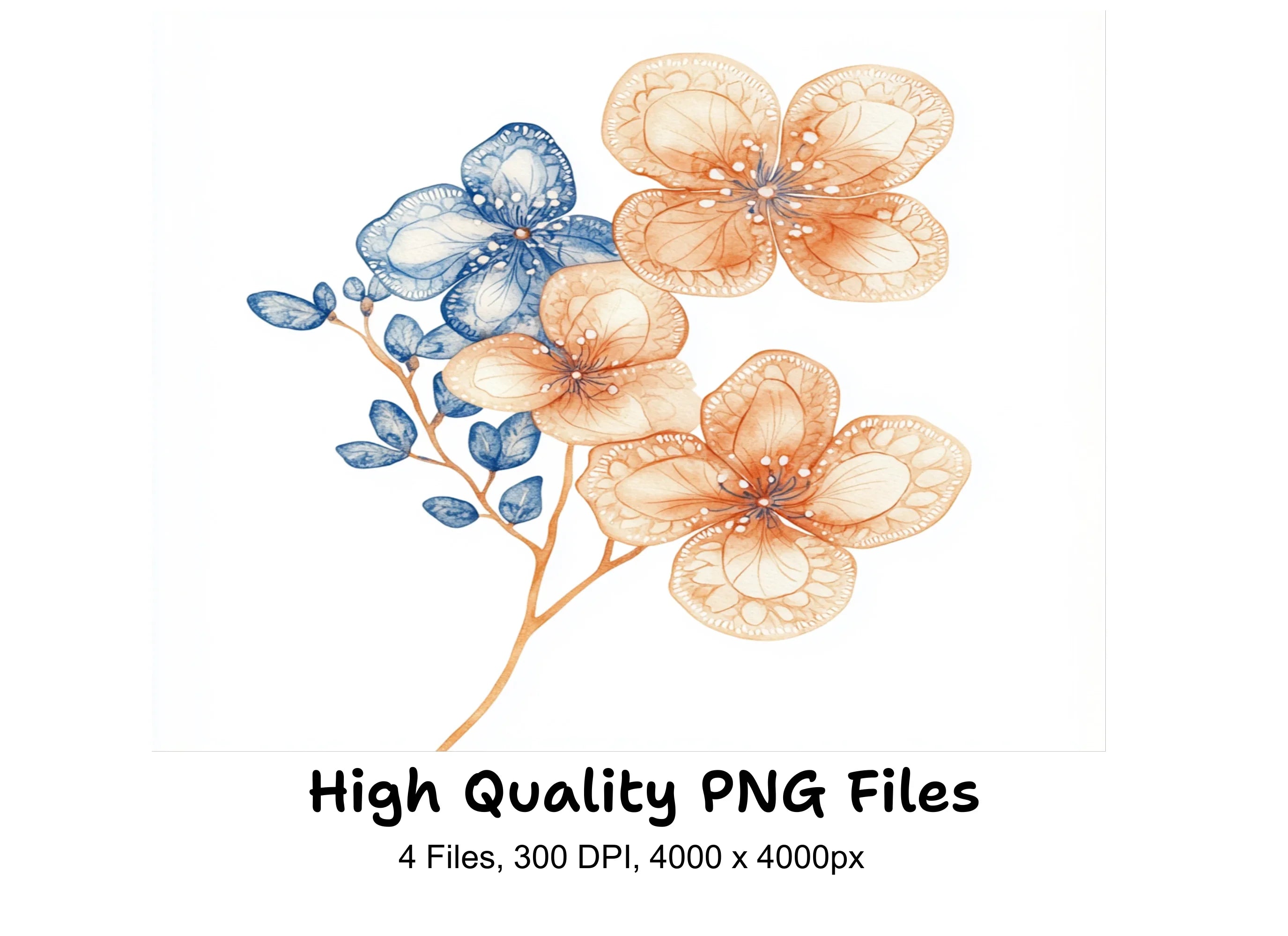 Delicate Lace Flower Clipart Bundle