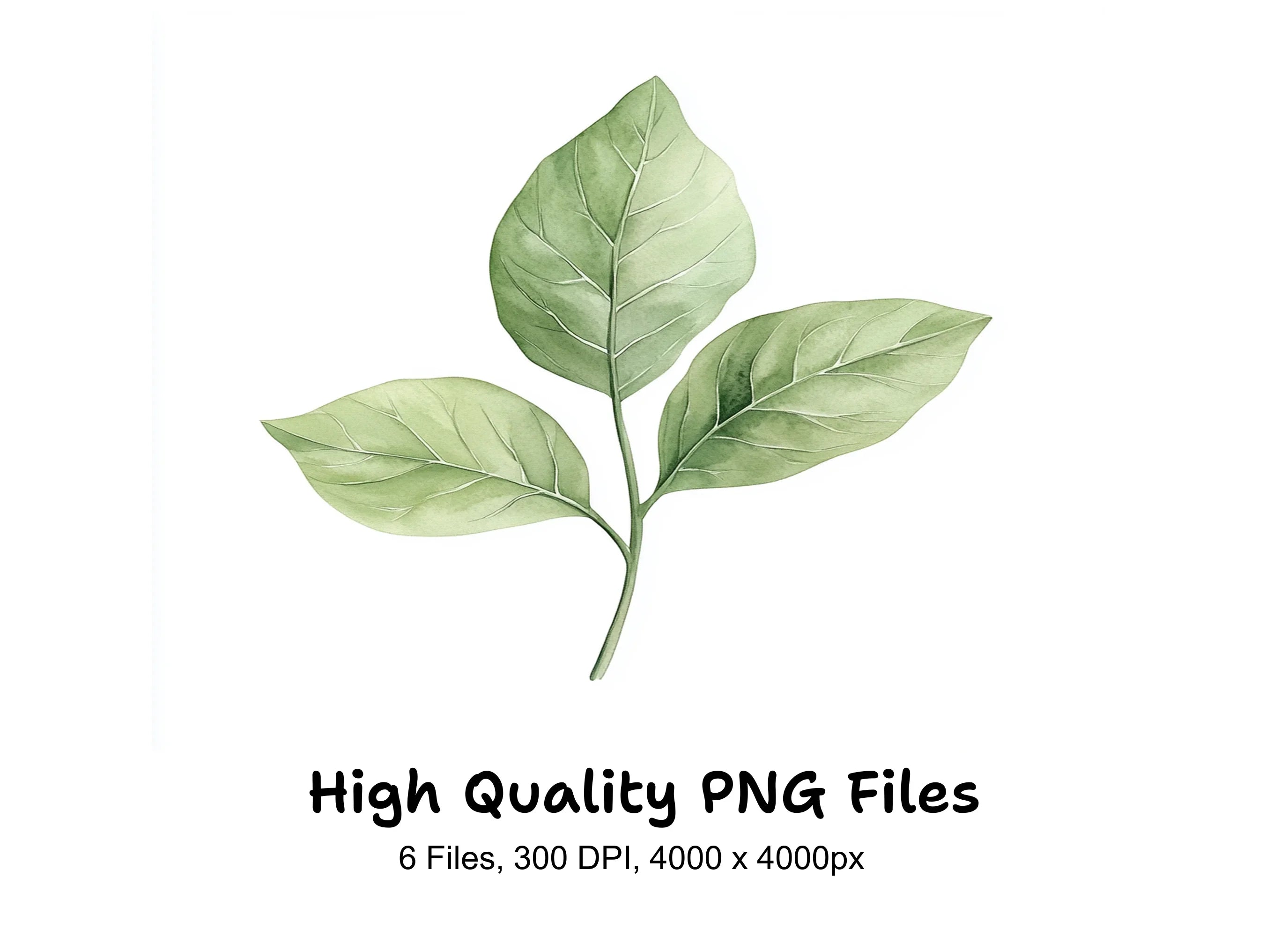 Green Leaves Clipart Bundle
