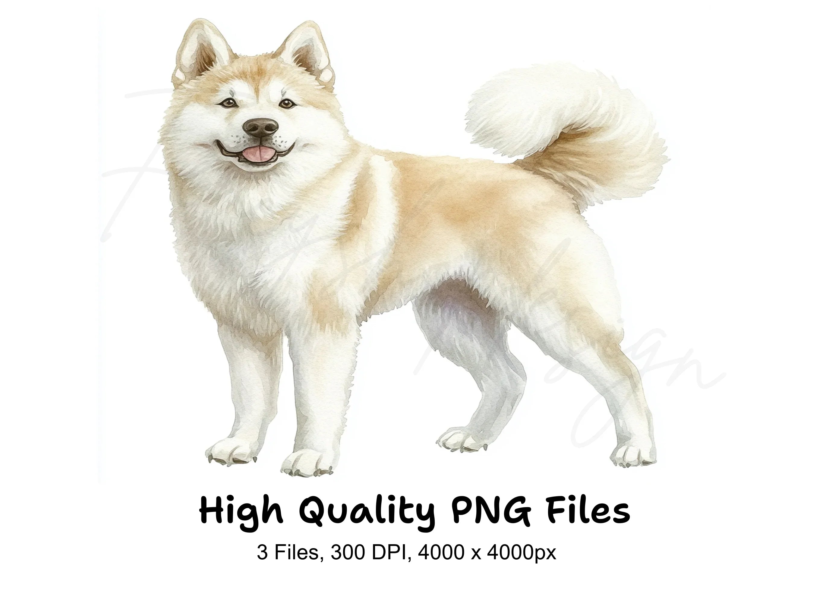 Akita Dog Breed Clipart Bundle