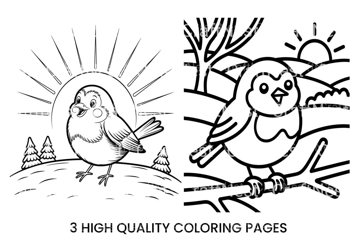 Cute Birdie Winter Scene Coloring Books