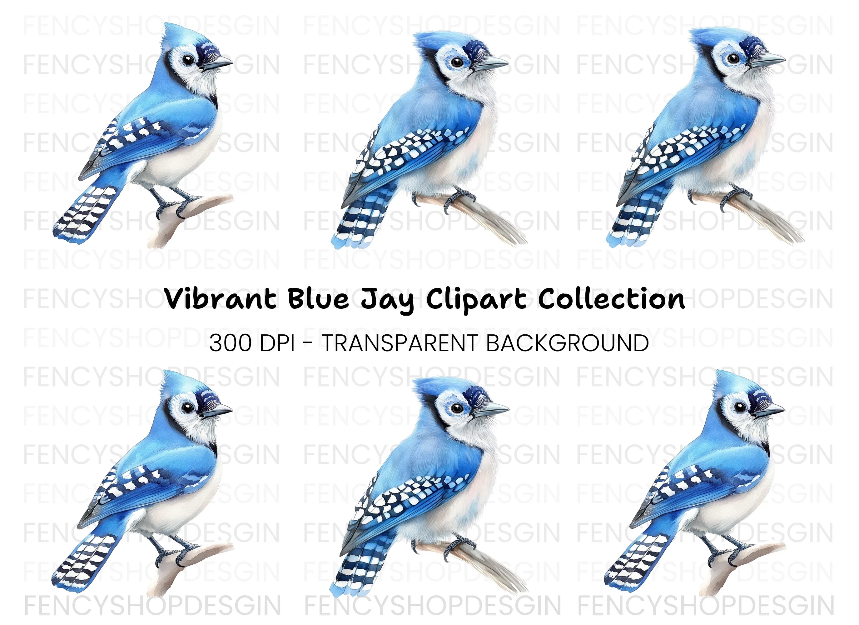 Realistic Blue Jay Perched Clipart Bundle