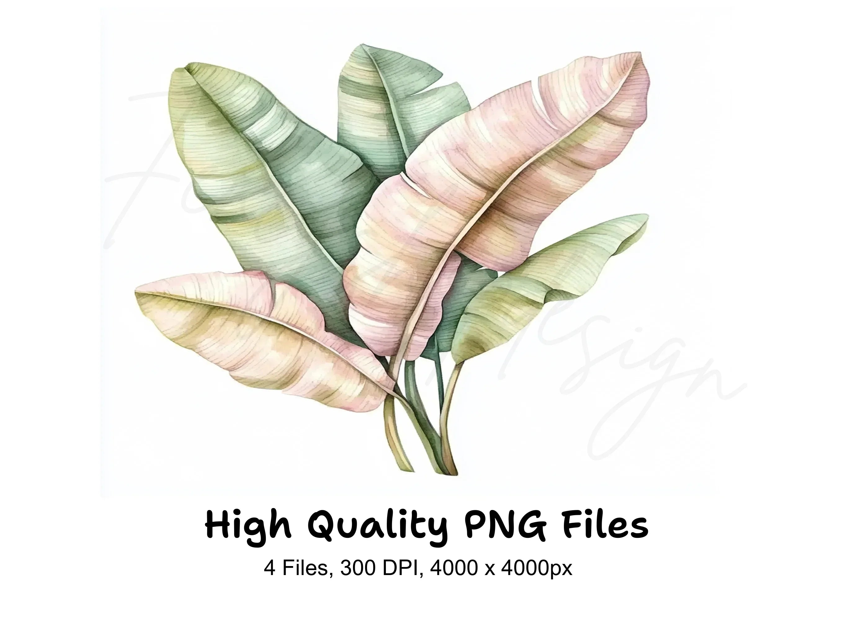 Banana Leaf Clipart Bundle