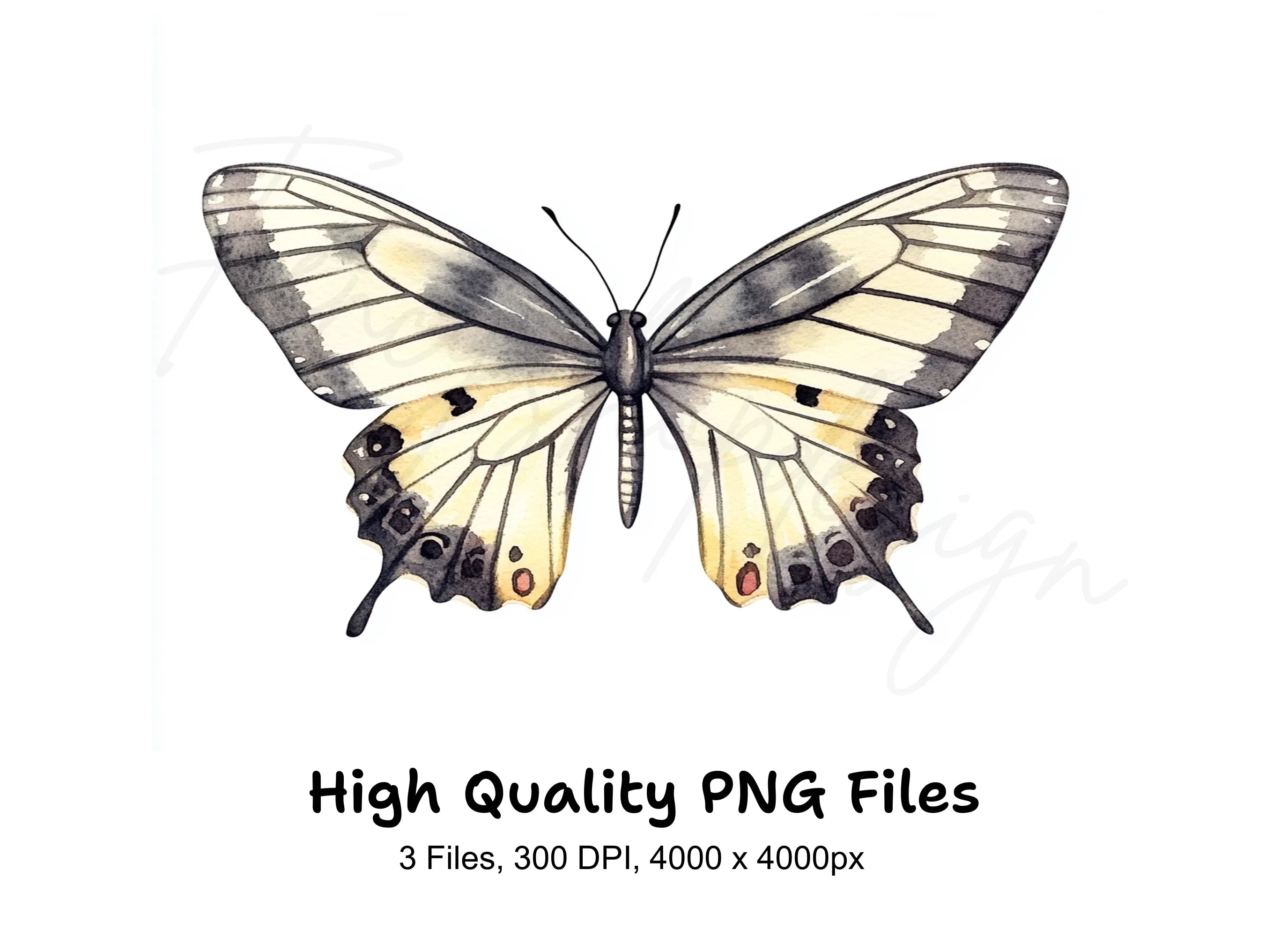 Black and White Butterflies Clipart Bundle