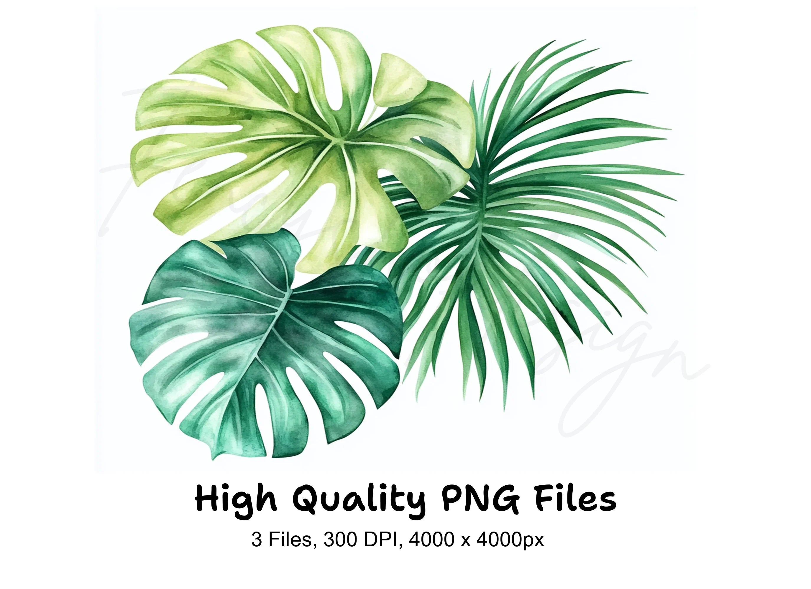 Vibrant Tropical Foliage Clipart Bundle
