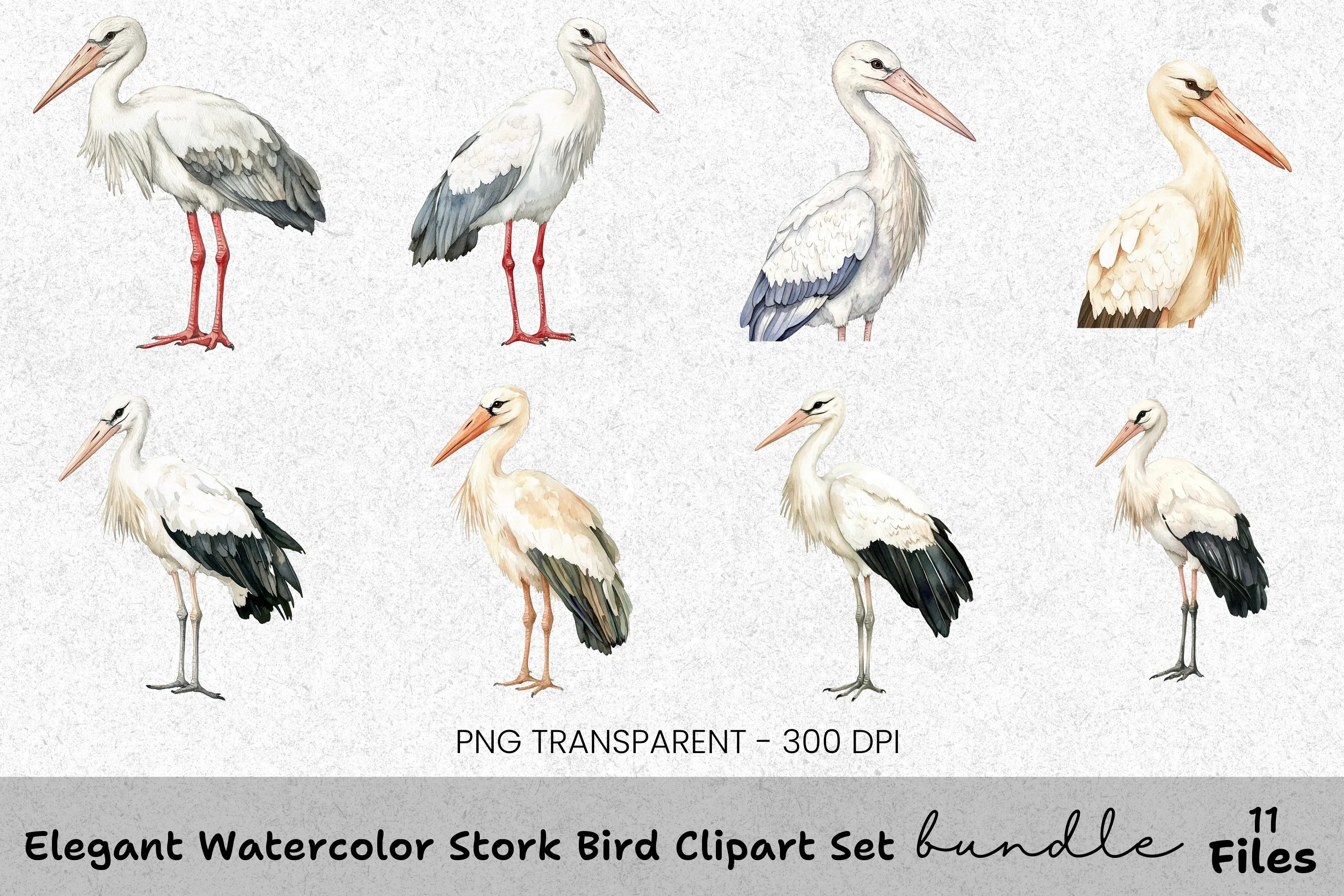 Elegant Stork Bird Clipart Bundle
