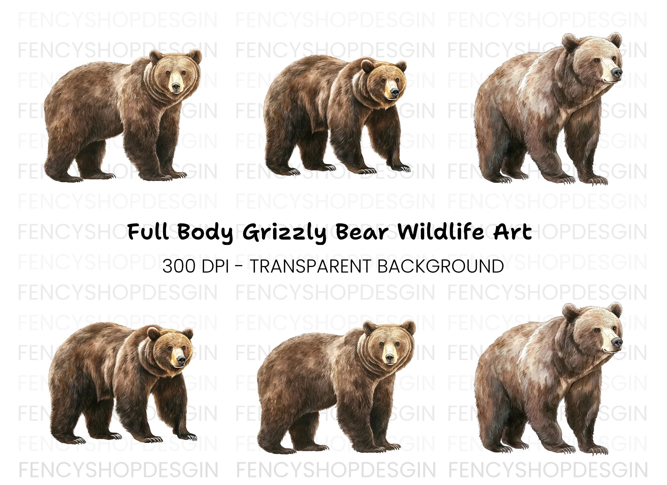 Realistic Grizzly Bear Clipart Bundle
