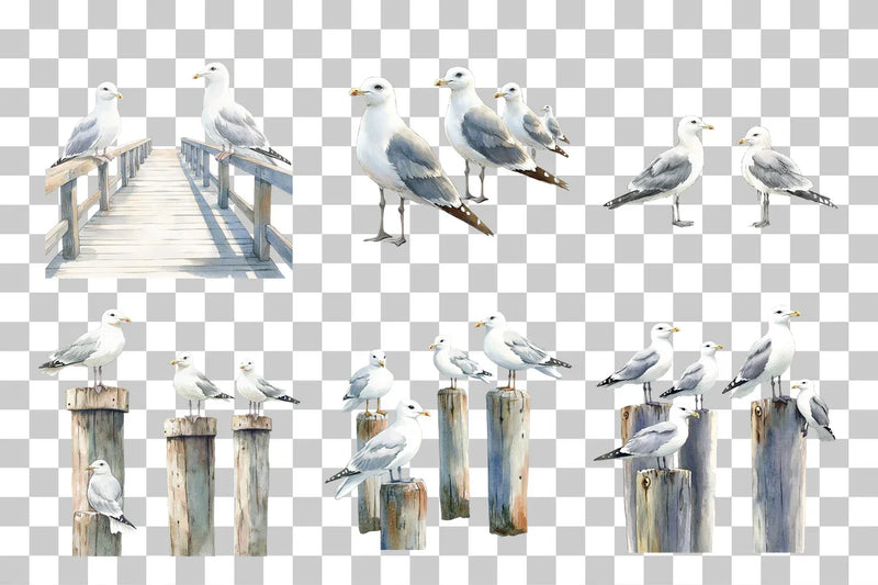 Seagulls on Coastal Pier Clipart Bundle - CraftNest - Digital Crafting and Art