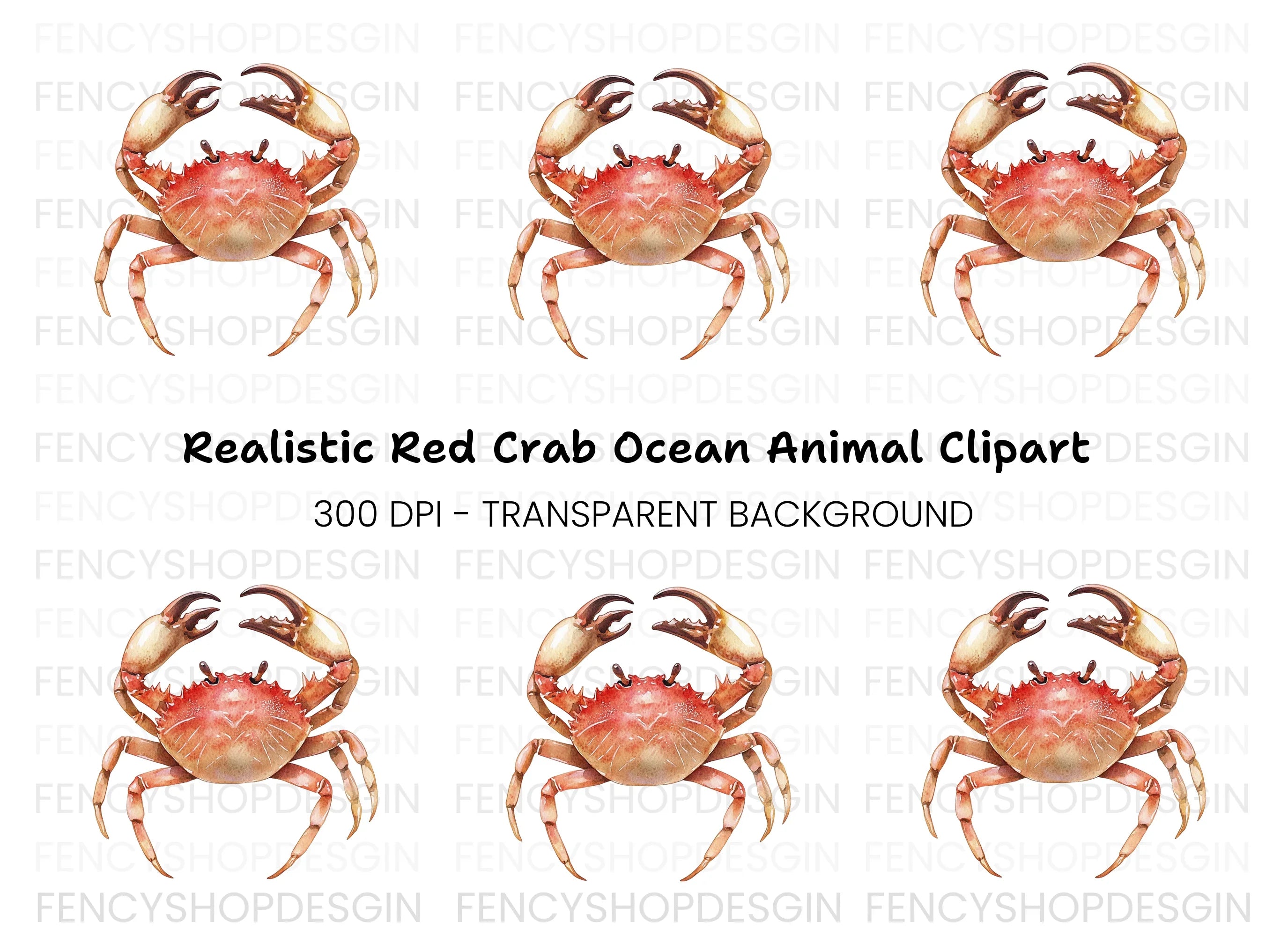 Red Crab Illustration Clipart Bundle
