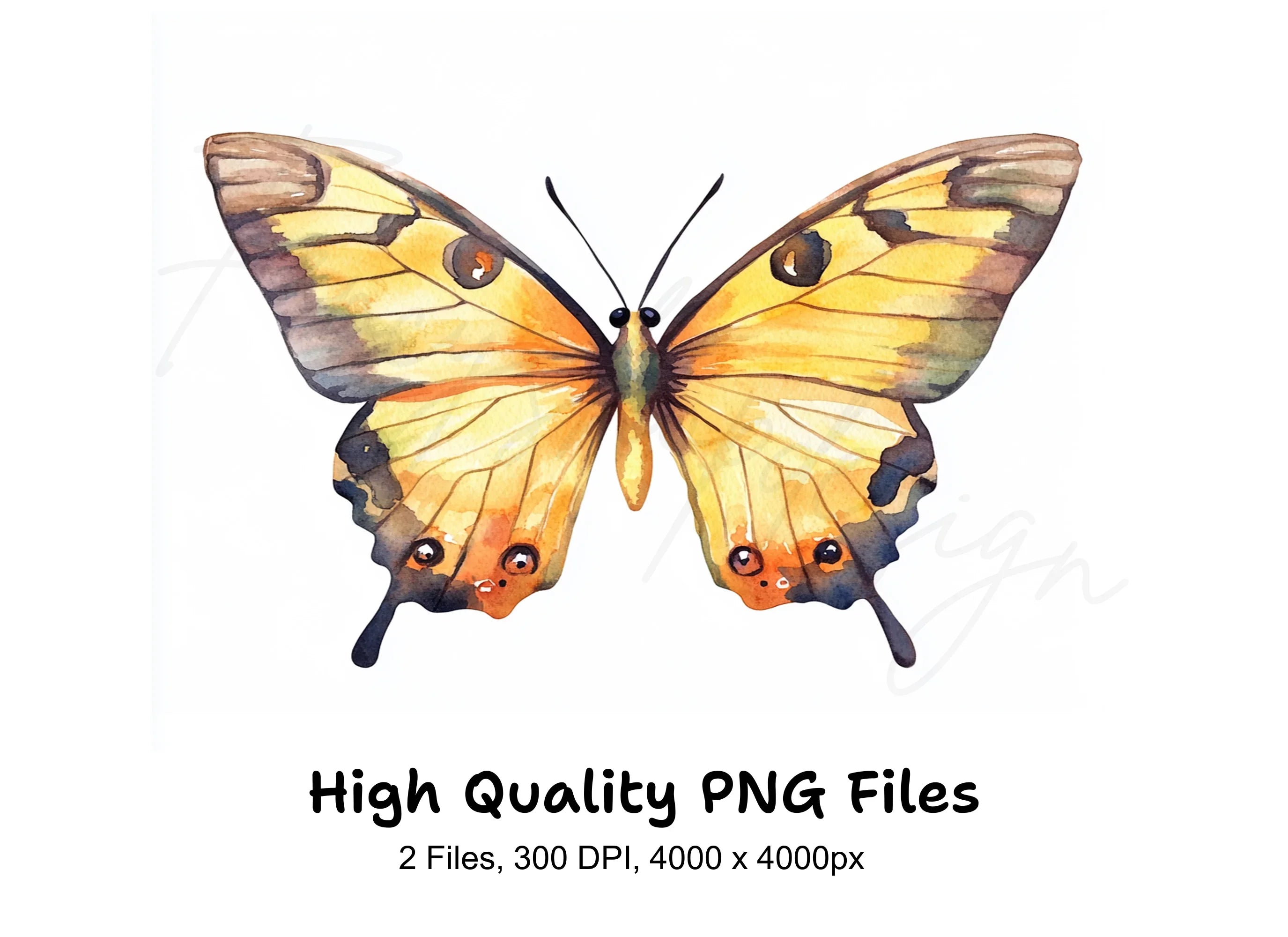 Colorful Butterfly Clipart Bundle
