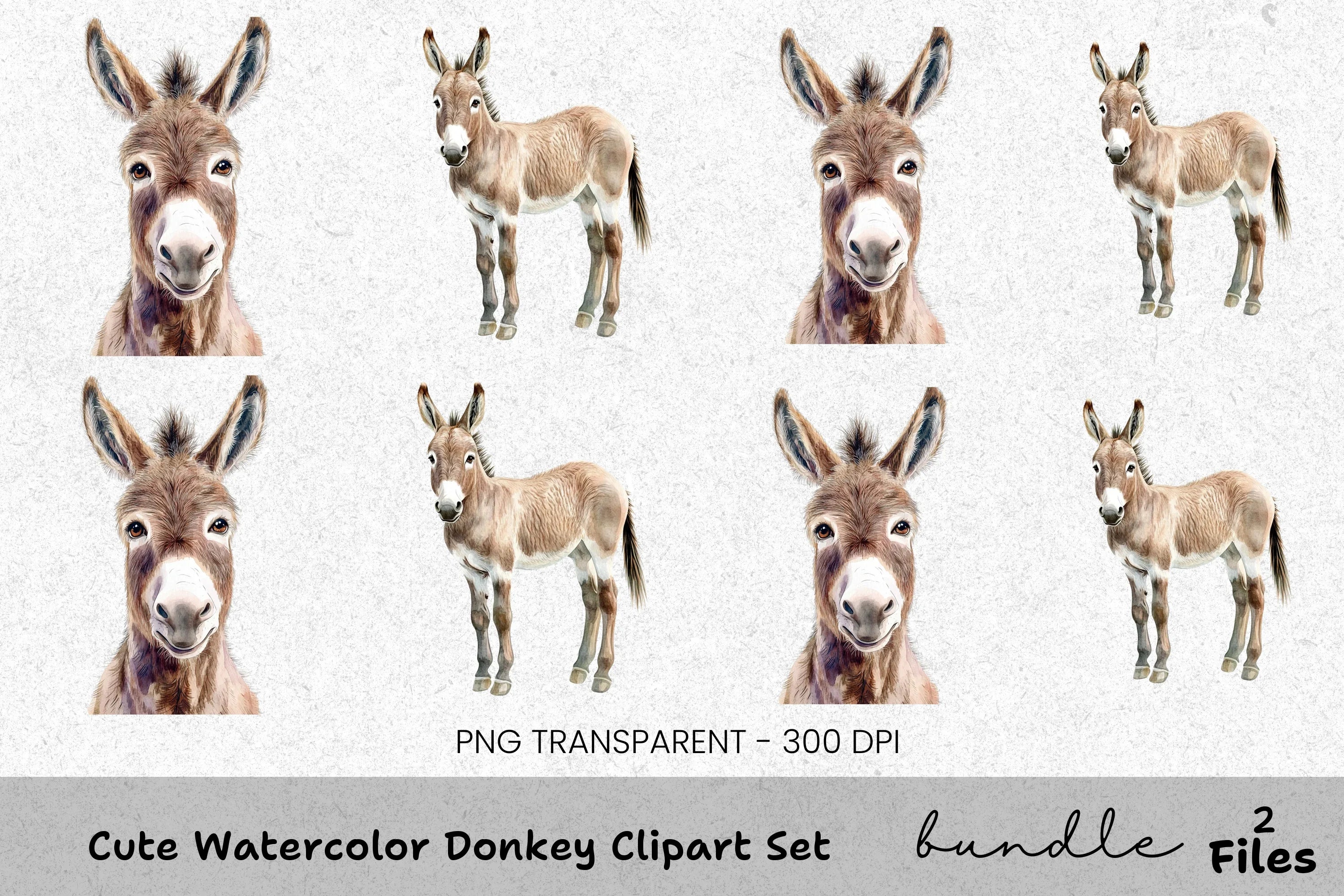 Cute Donkey Clipart Bundle
