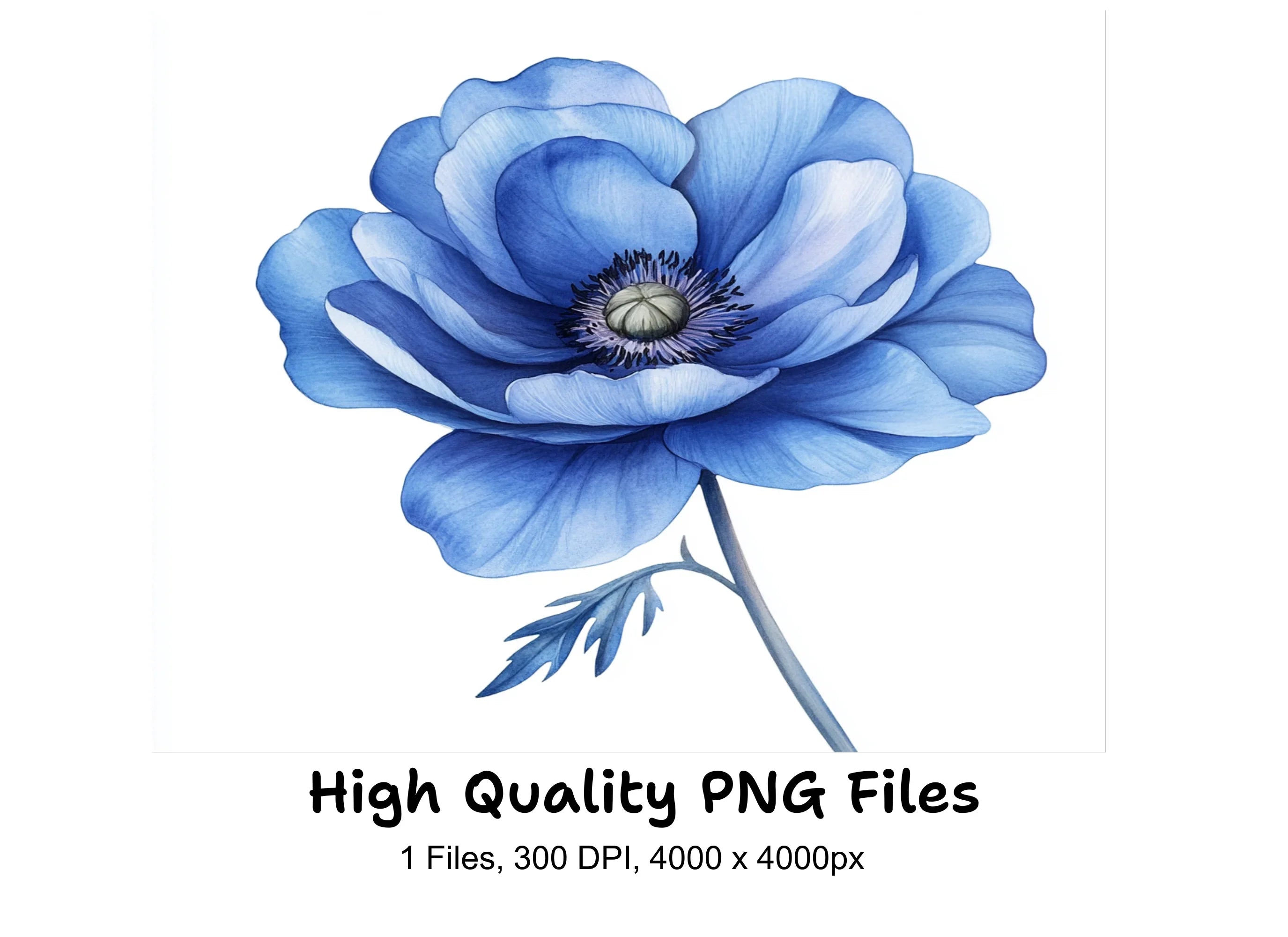 Vibrant Blue Anemone Flower Clipart Bundle