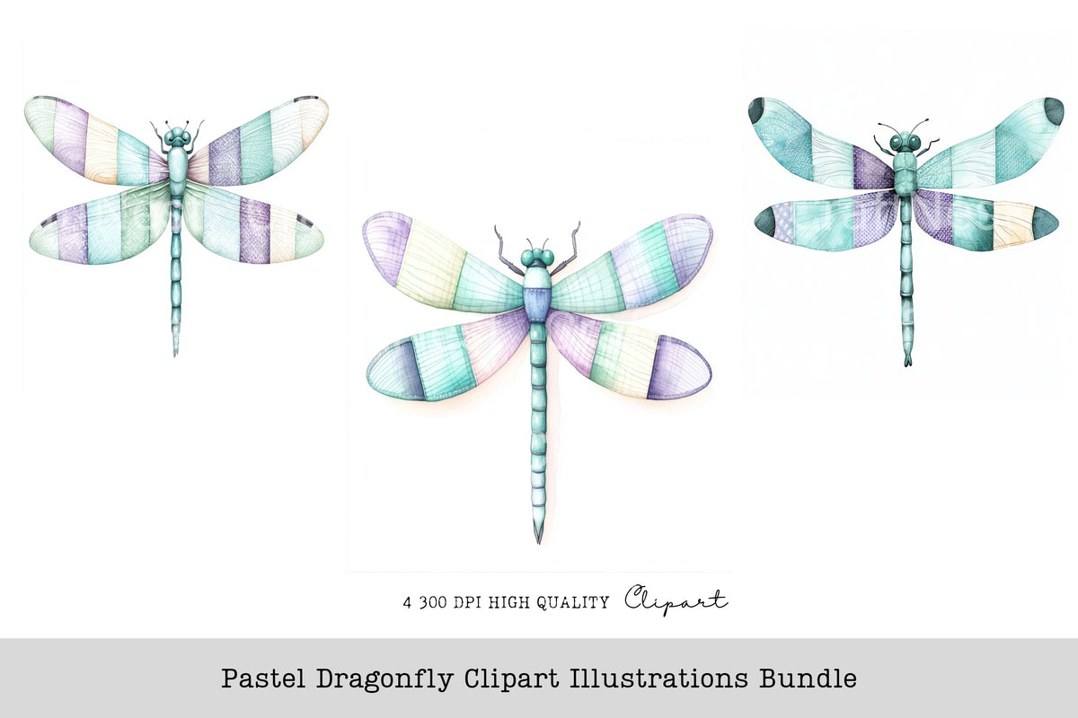 Pastel Dragonfly Illustrations Clipart Bundle