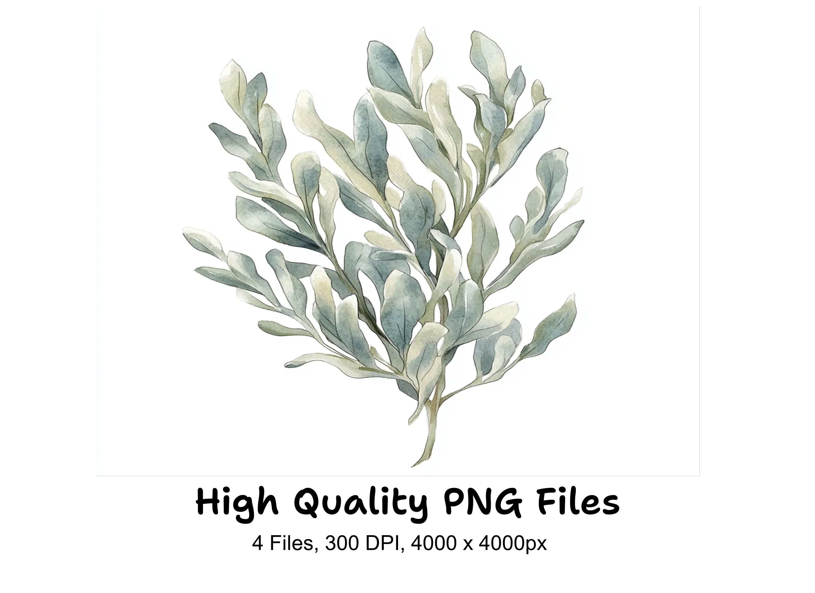 Tree Clipart Bundle