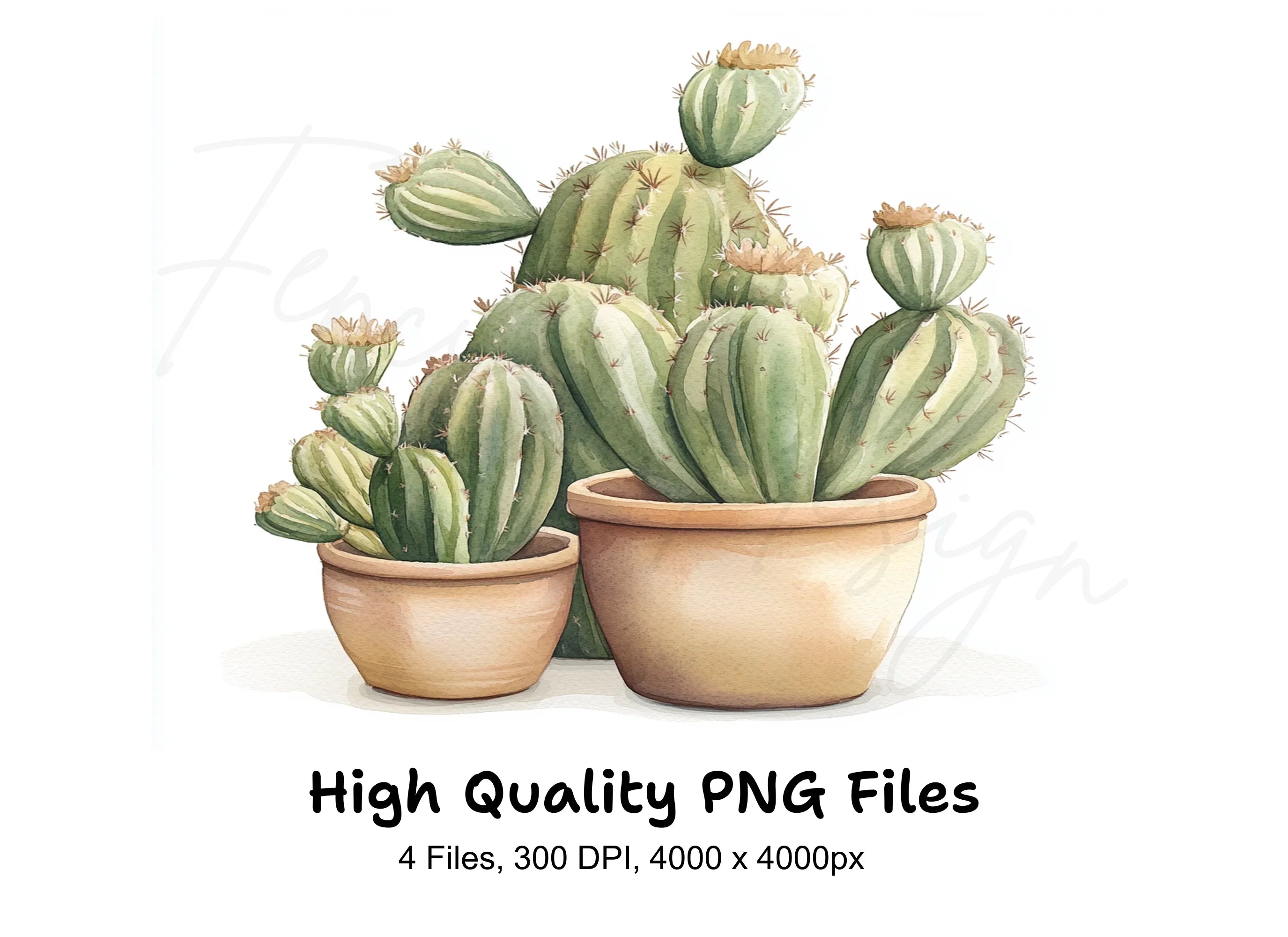 Cactus Clipart Bundle