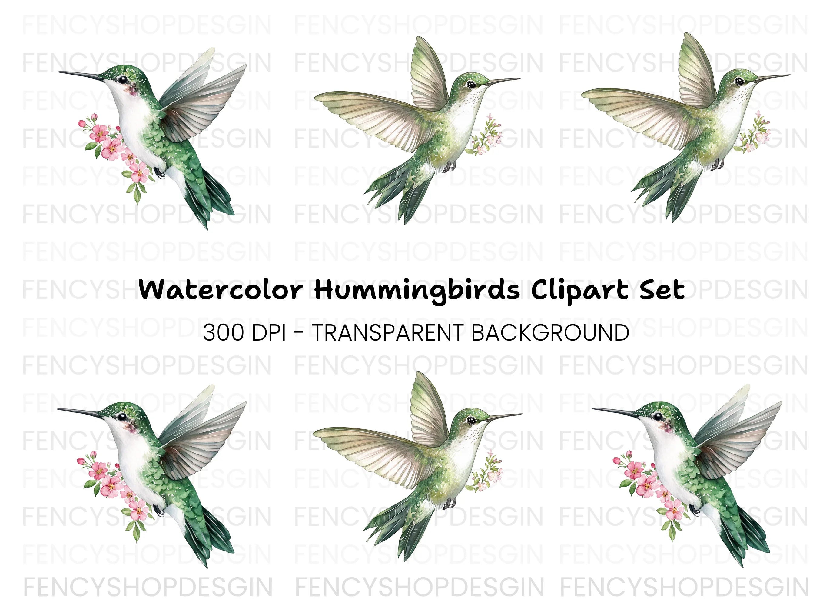 Hummingbird with Pink Flowers Clipart Bundle