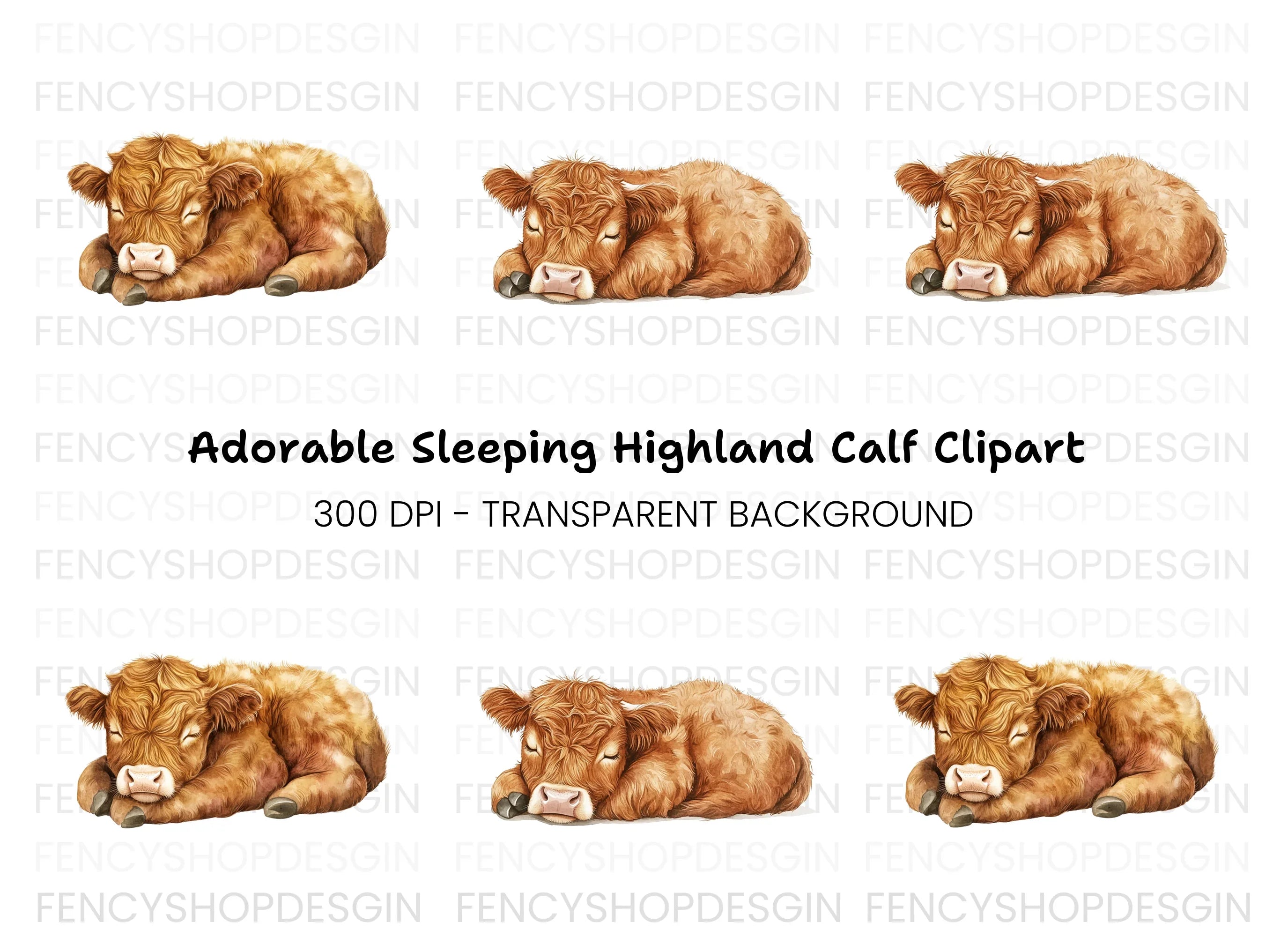 Sleeping Highland Calf Clipart Bundle