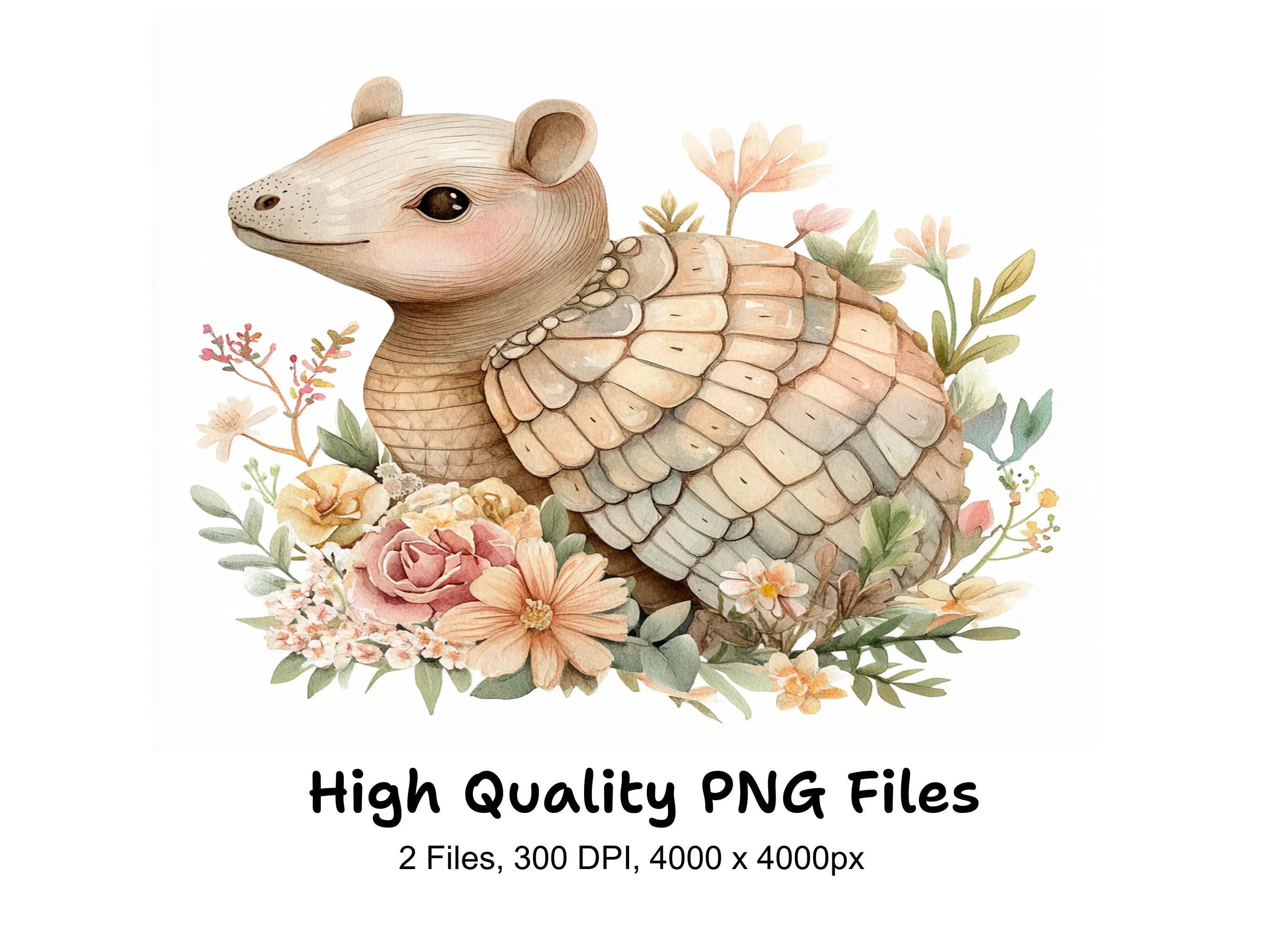 Cute Armadillo with Flowers Clipart Bundle