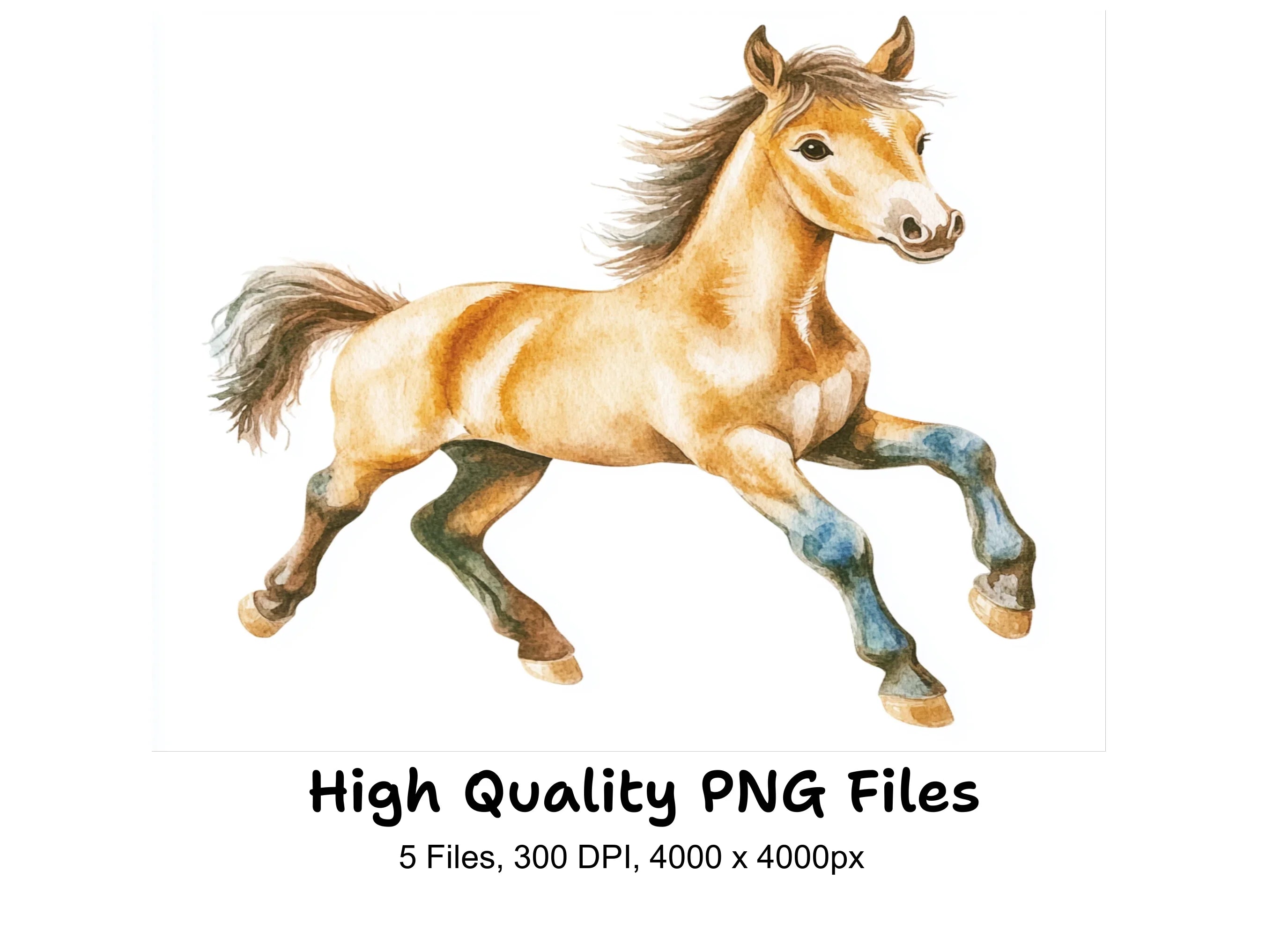 Playful Foal Clipart Bundle