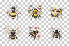 Folk Art Bee with Florals Clipart Bundle - CraftNest - Digital Crafting and Art