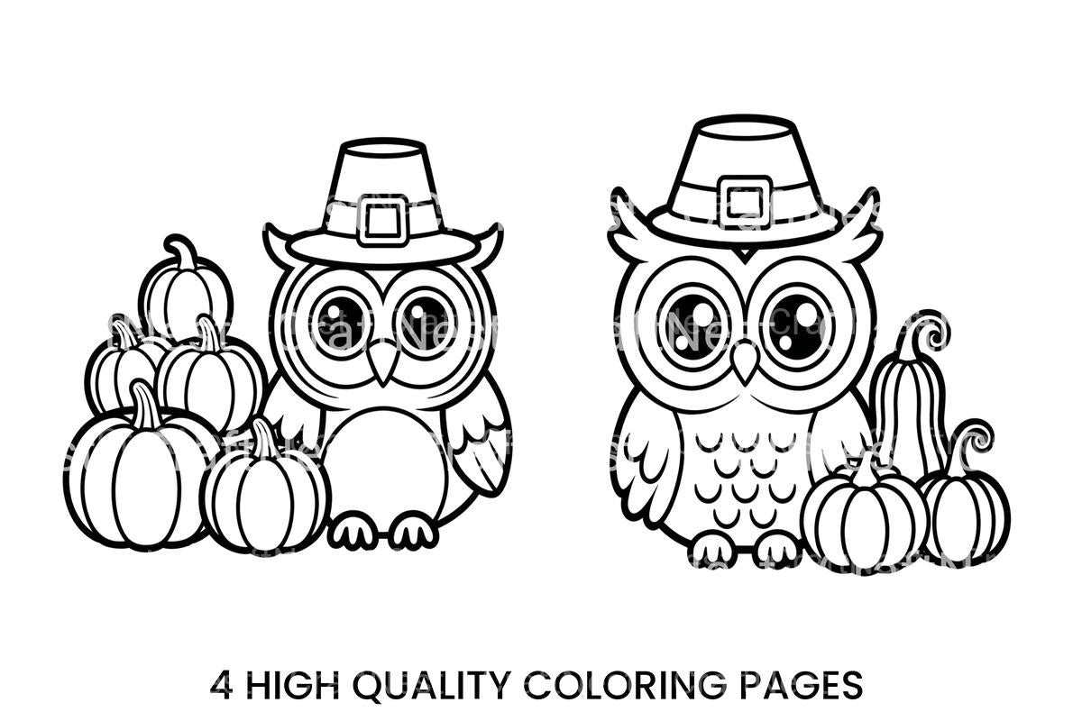 Thanksgiving Owl and Pumpkins Coloring Books