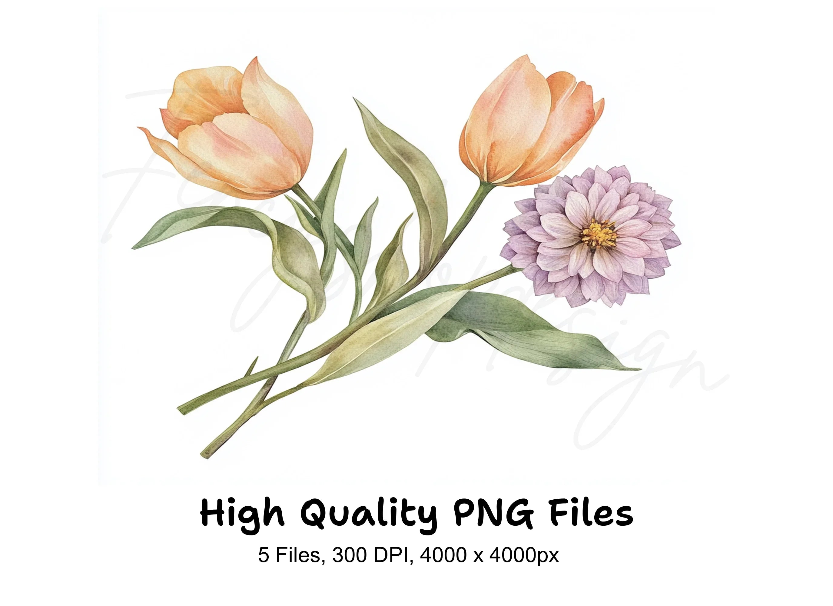 Spring Tulip Dahlia Bouquets Clipart Bundle