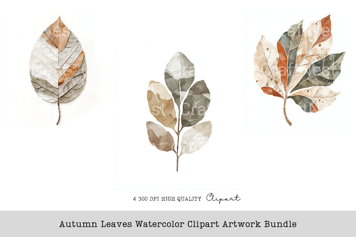 Autumn Leaves Artwork Clipart Bundle