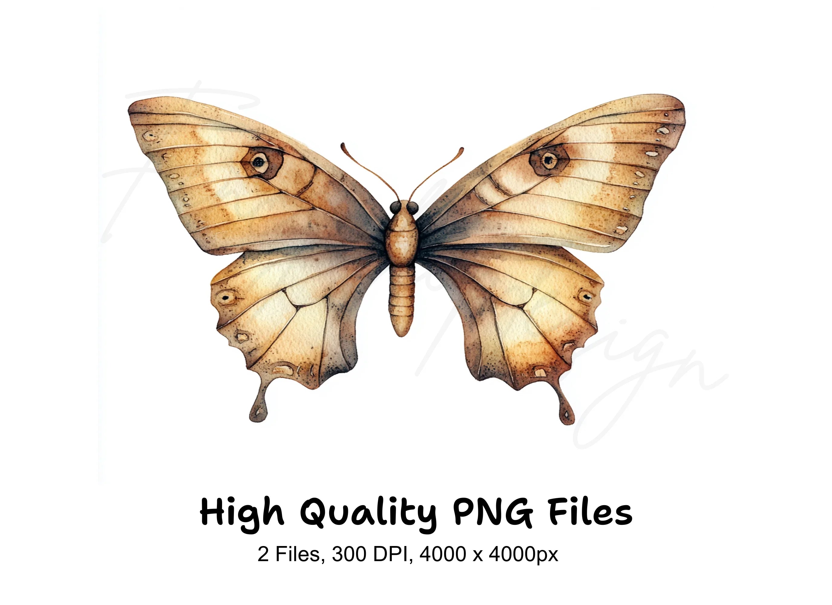 Vintage Brown Butterfly Clipart Bundle