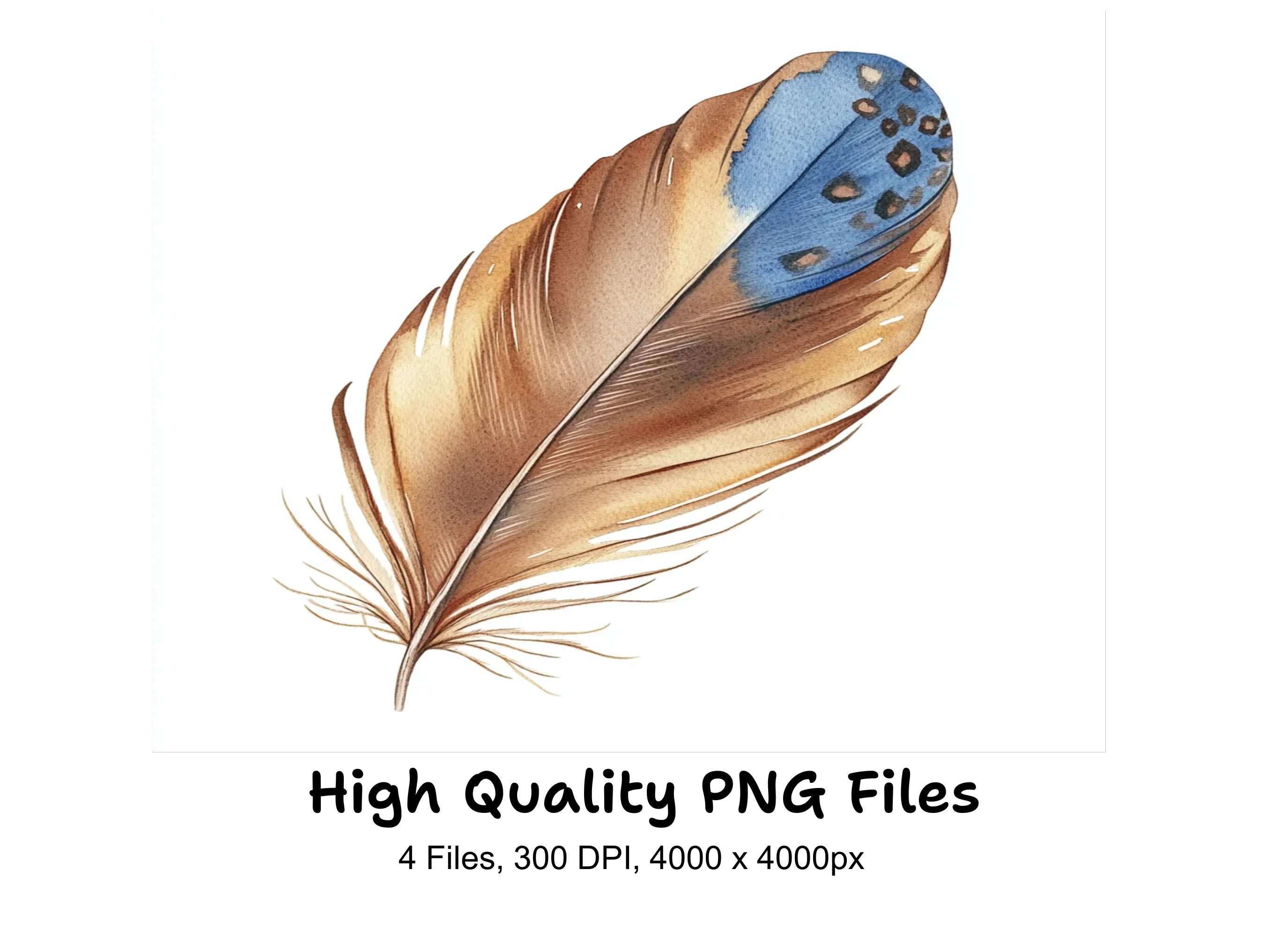 Rustic Feather Clipart Bundle
