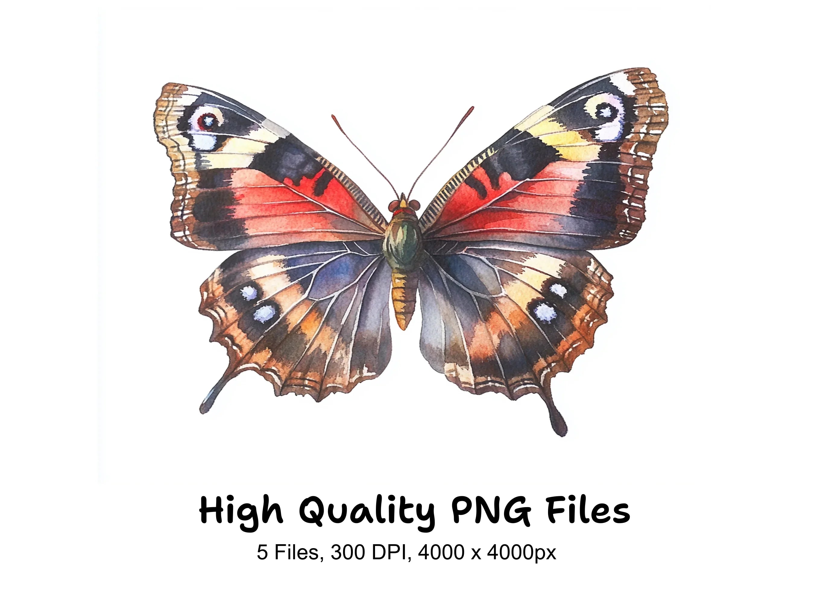 Peacock Butterfly Clipart Bundle