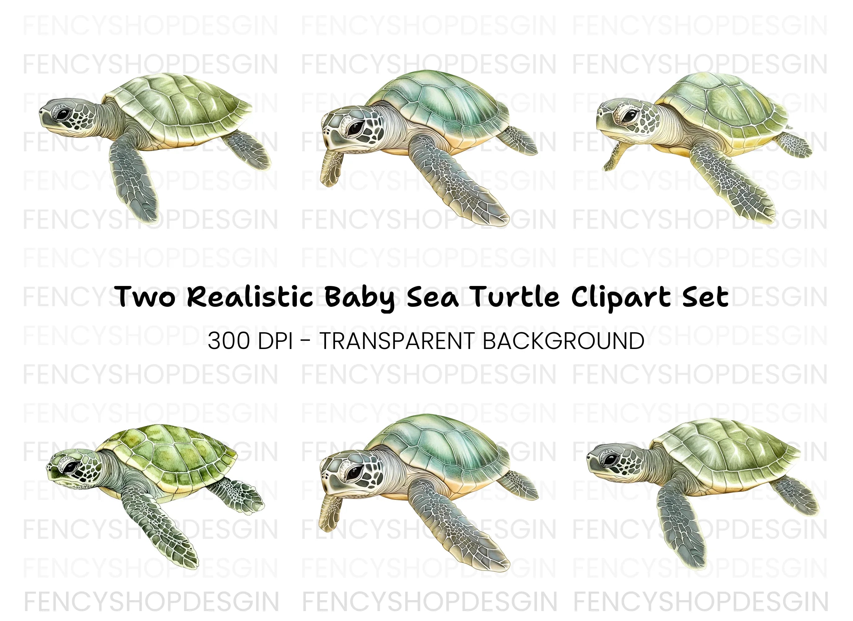Three Baby Sea Turtles Clipart Bundle