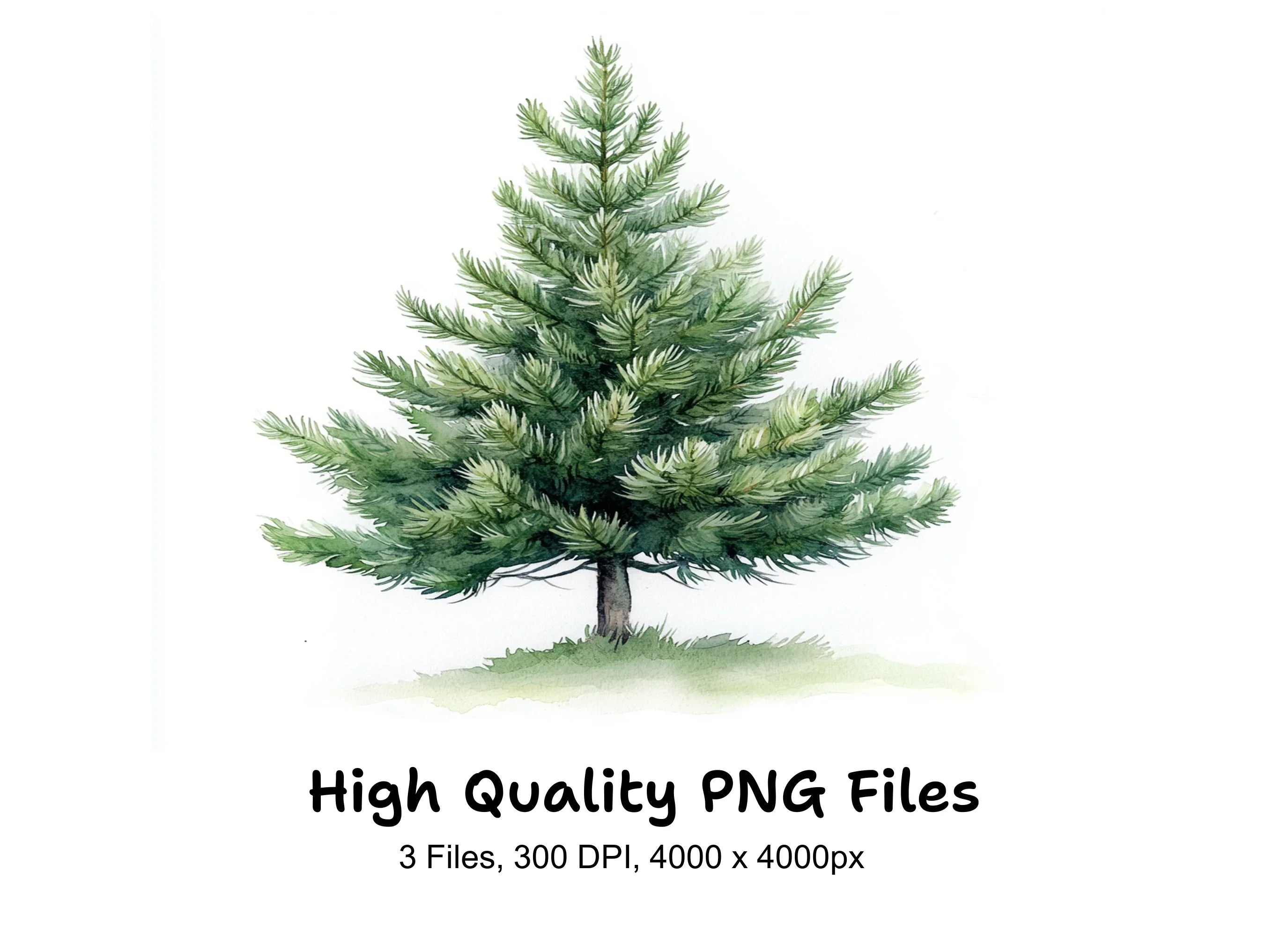 Green Pine Tree Illustrations Clipart Bundle