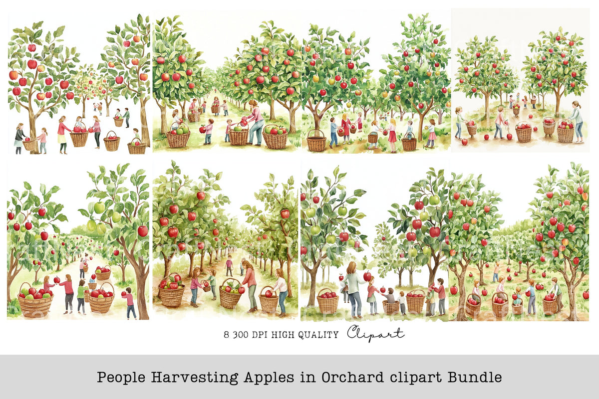 People Harvesting Apples In Orchard Clipart Bundle