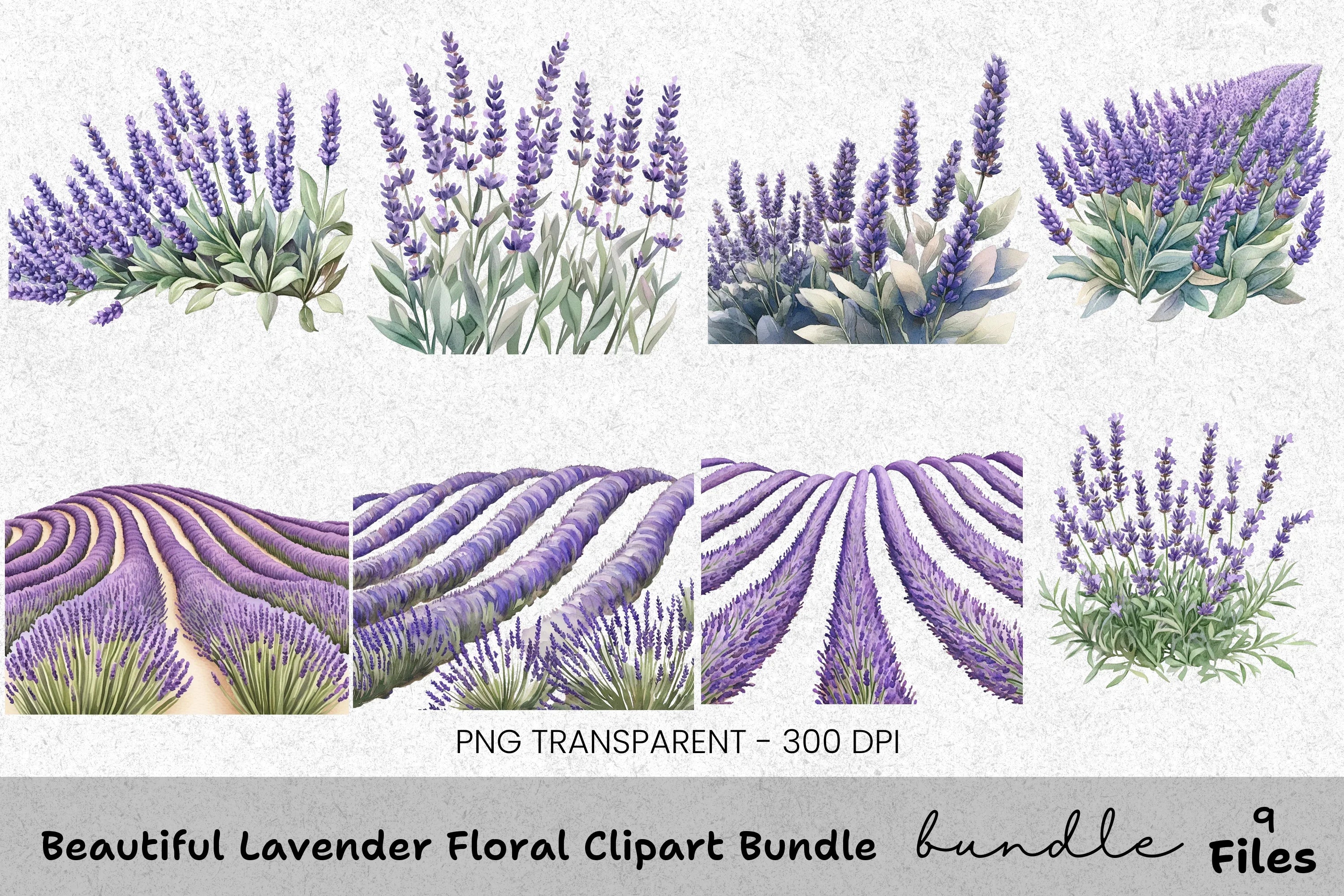 Beautiful Lavender Floral Clipart Bundle