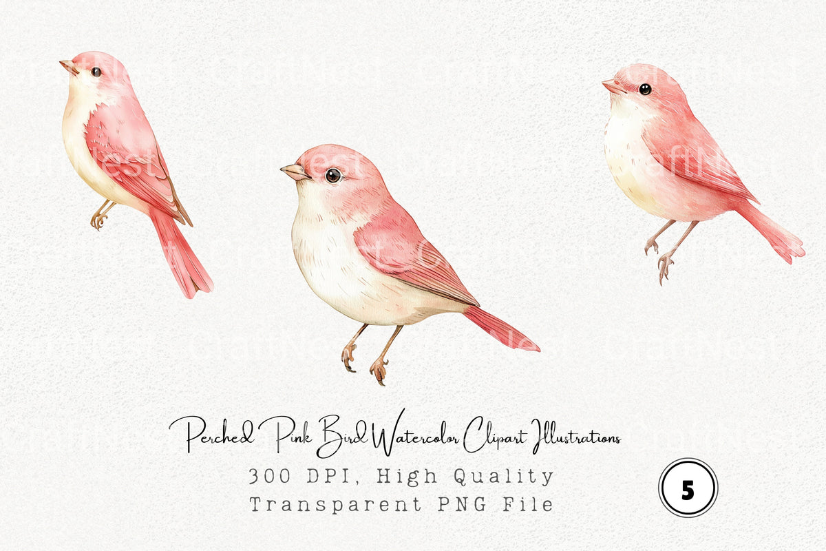 Perched Pink Bird Illustrations Clipart Bundle