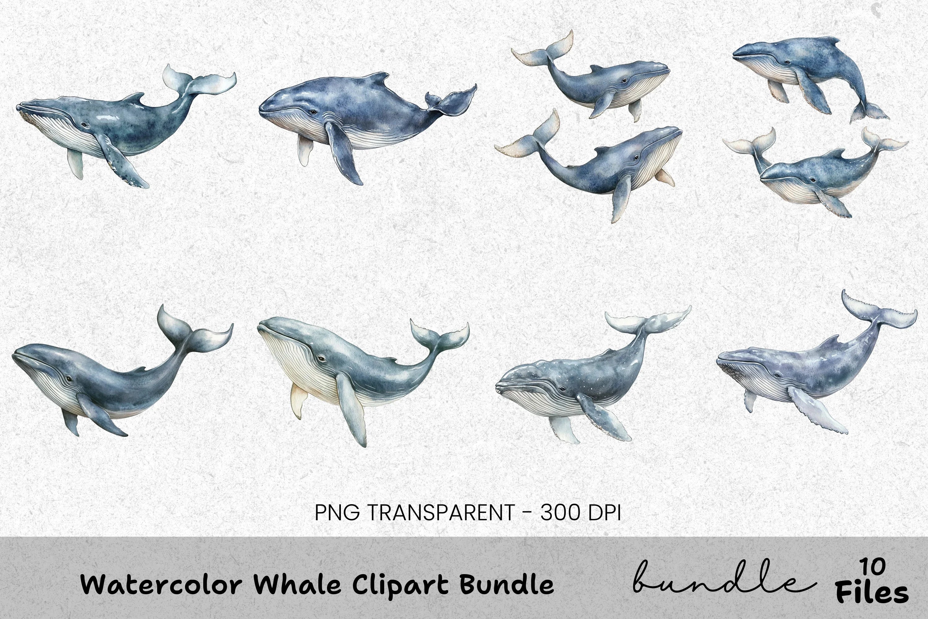 Whale Clipart Bundle