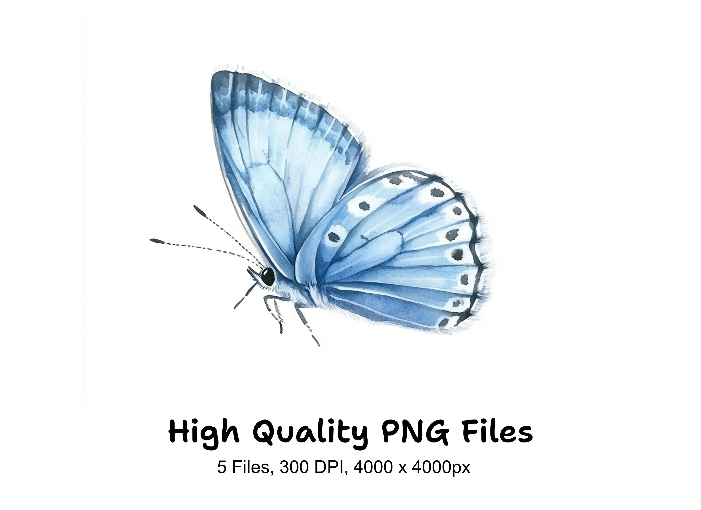 Blue Butterfly Clipart Bundle