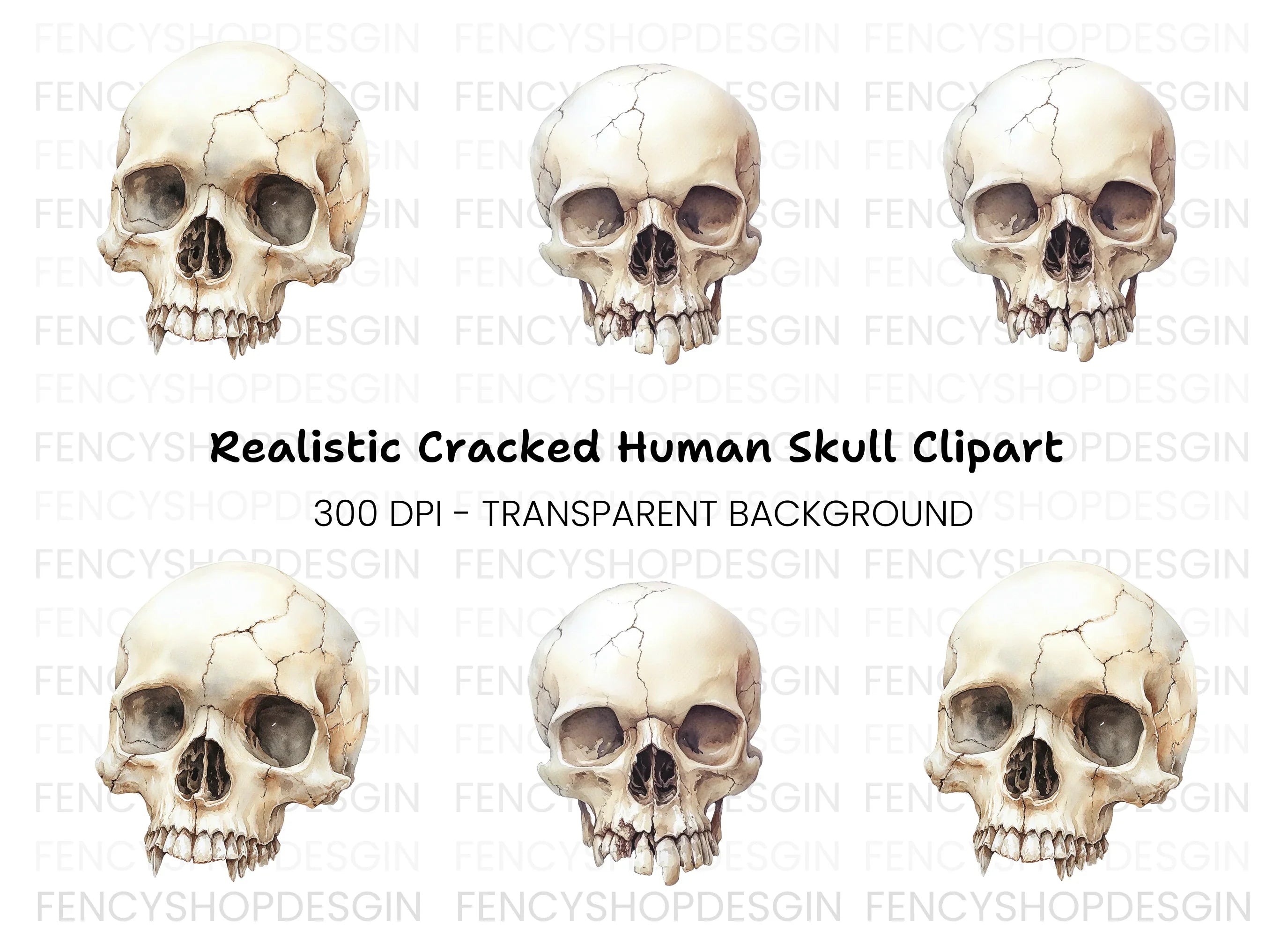 Detailed Skull Illustrations Clipart Bundle