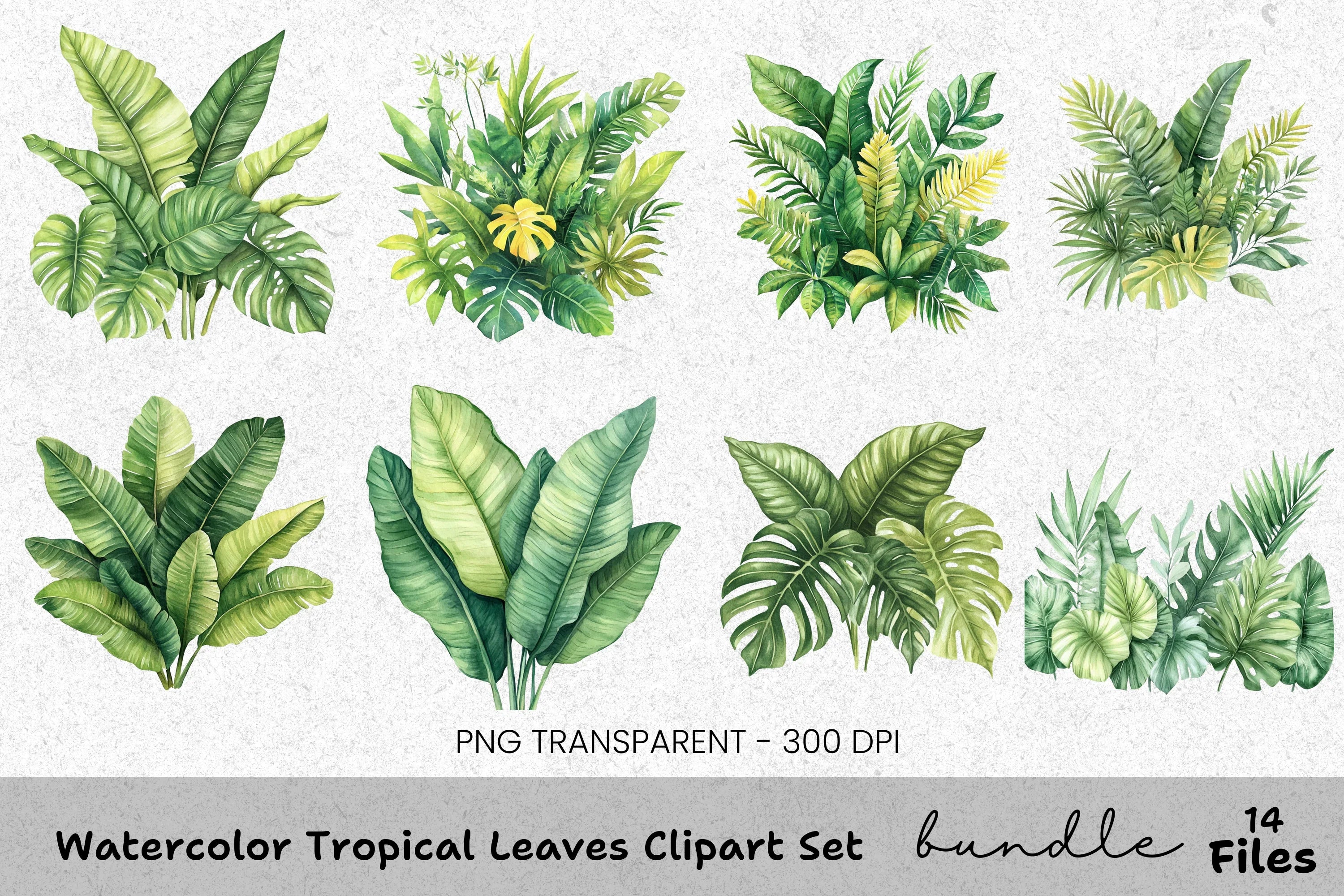 Tropical Leaves Clipart Bundle