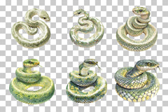 Cartoon Snake Jungle Animal Clipart Bundle - CraftNest - Digital Crafting and Art