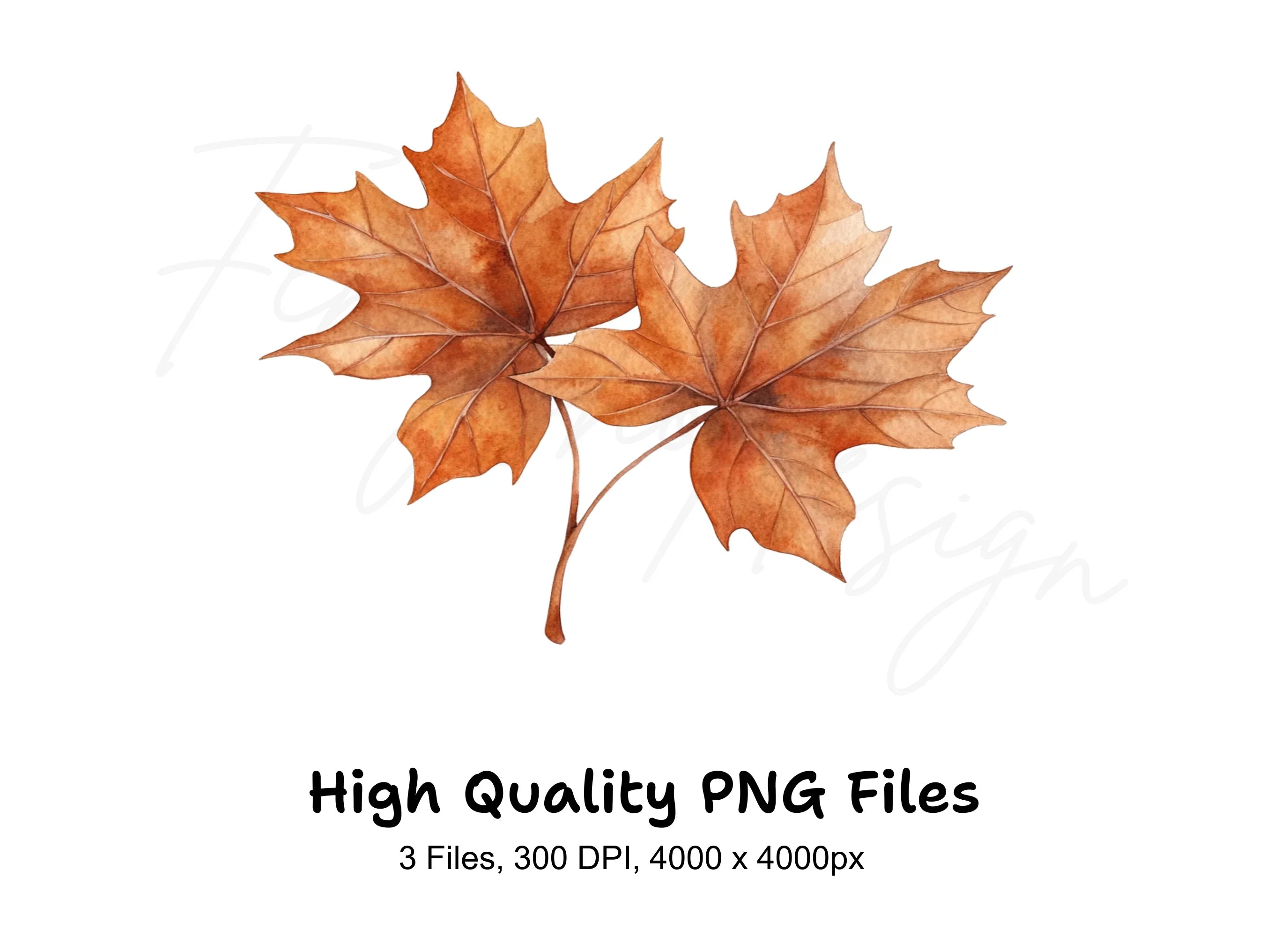 Vibrant Fall Maple Leaves Clipart Bundle