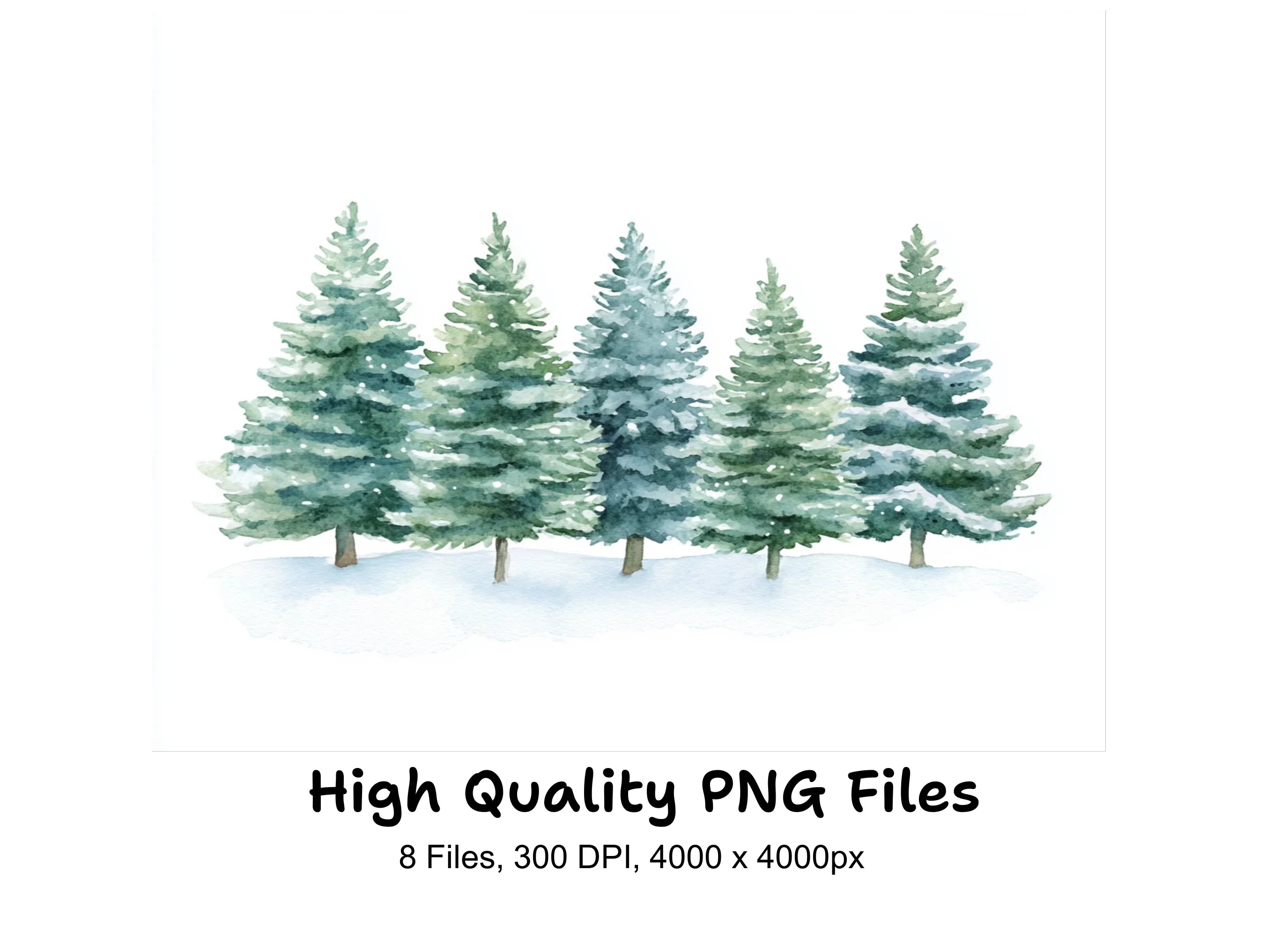 Winter Pine Trees Clipart Bundle