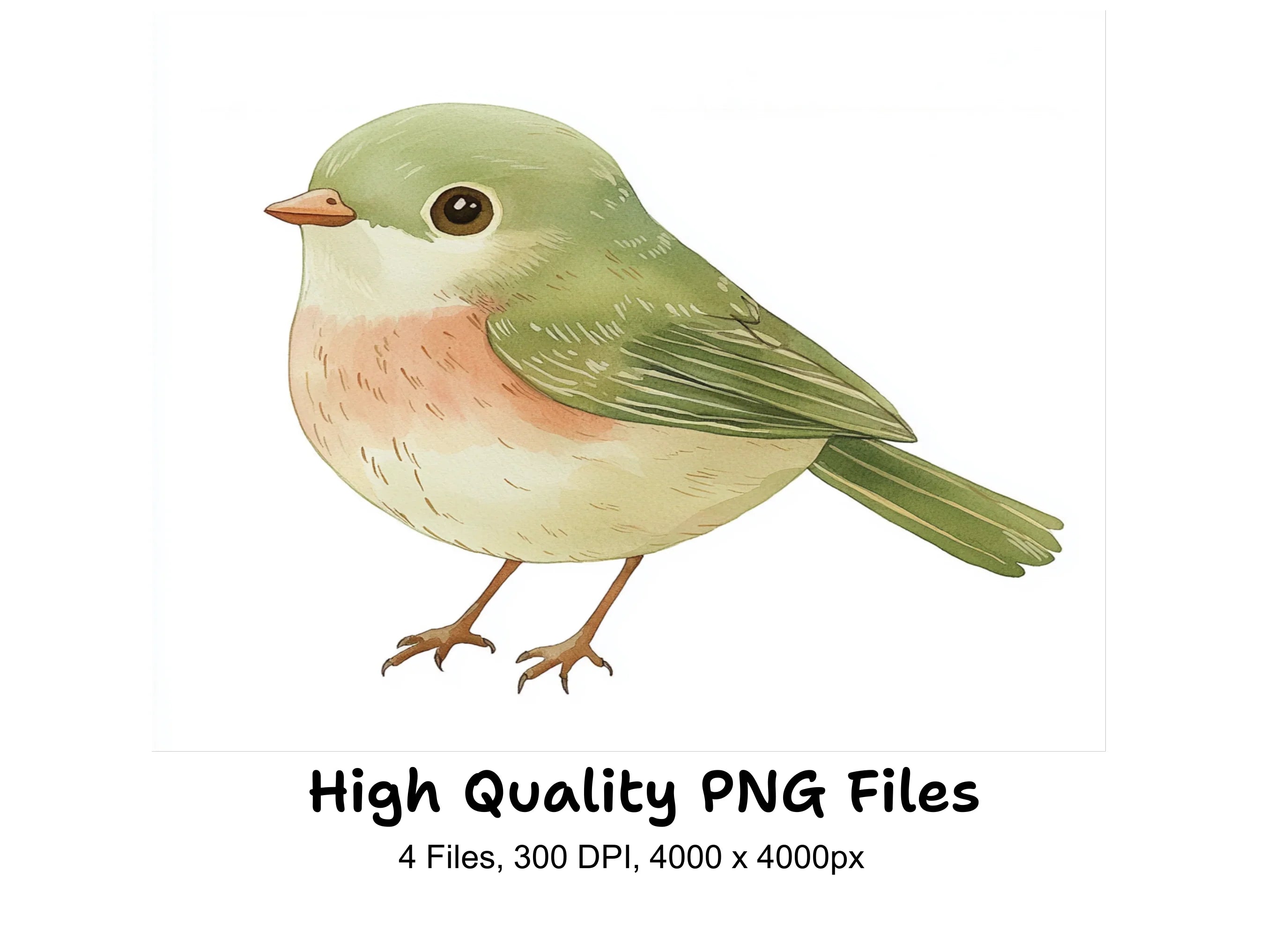 Green Birds Clipart Bundle