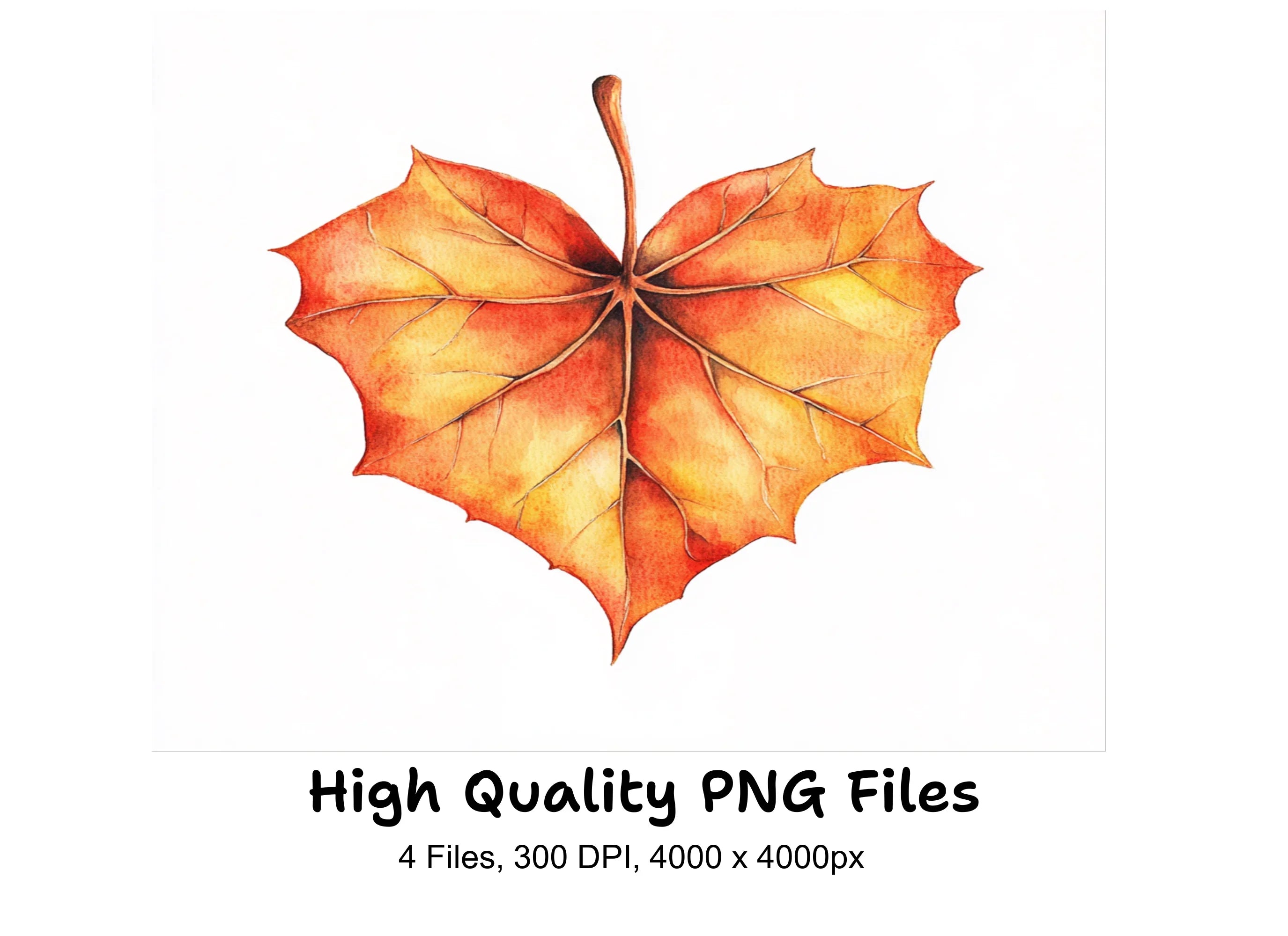 Autumn Leaves Clipart Bundle