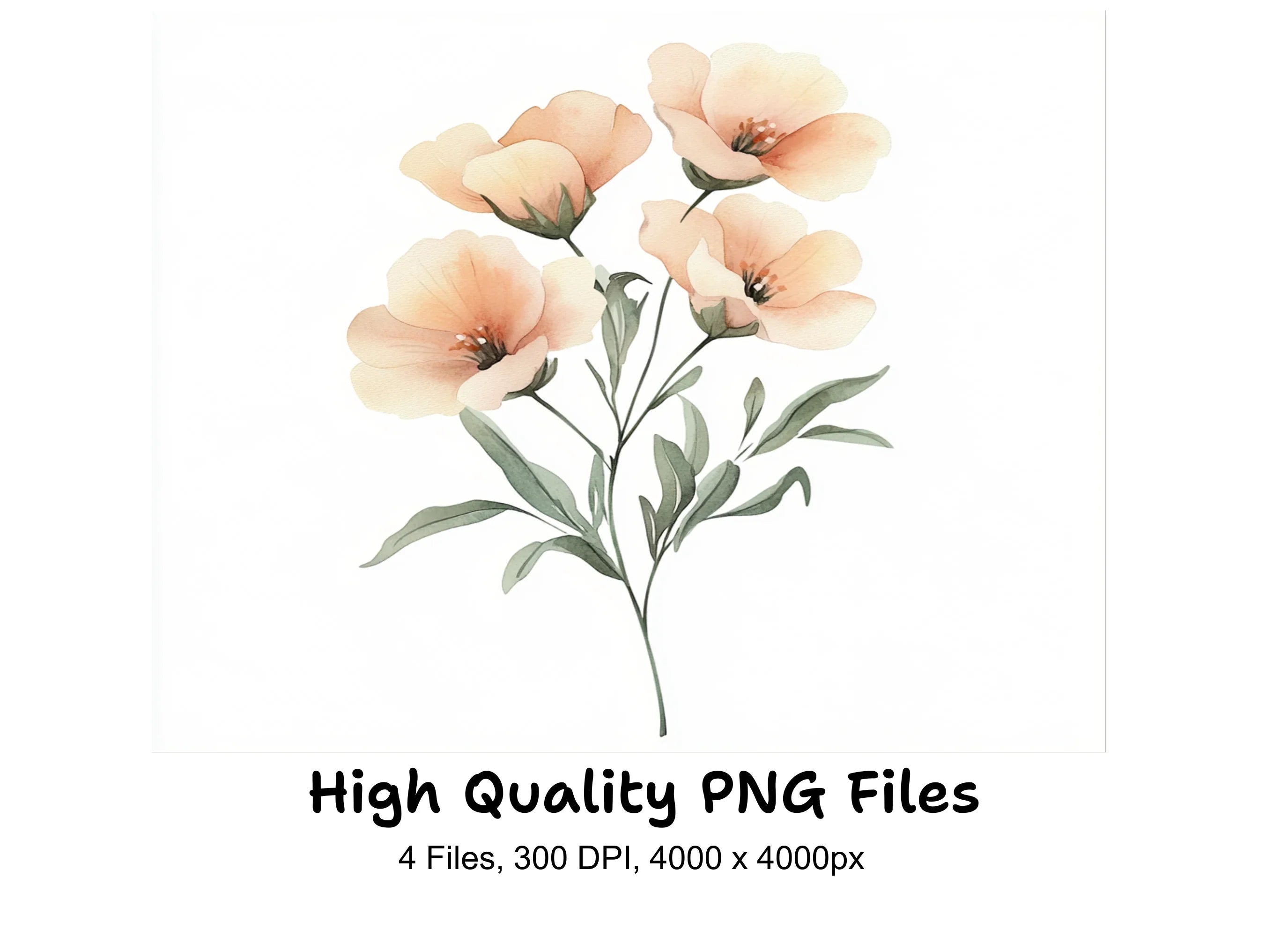 Peach Floral Clipart Bundle