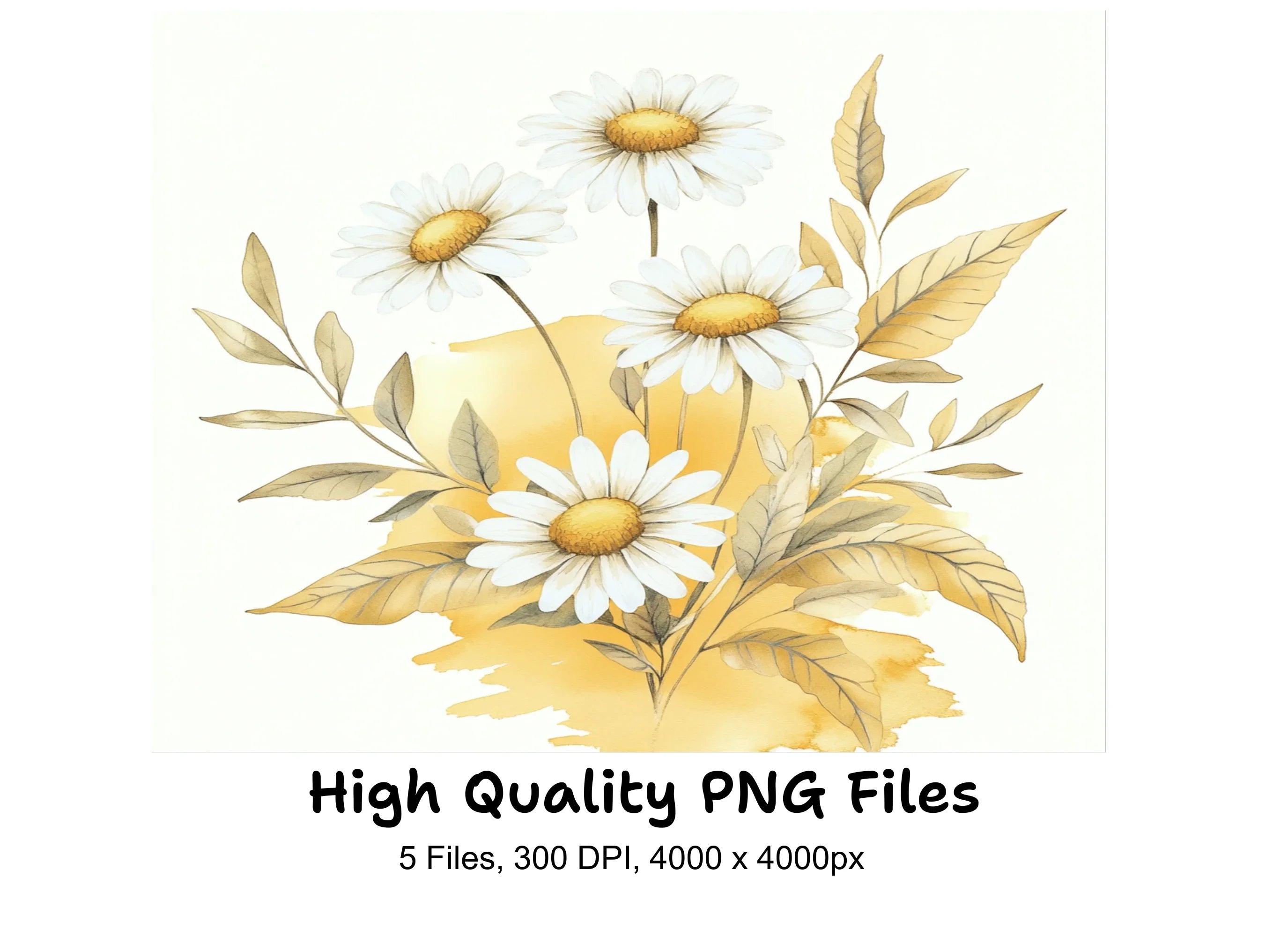 Daisy Clipart Bundle