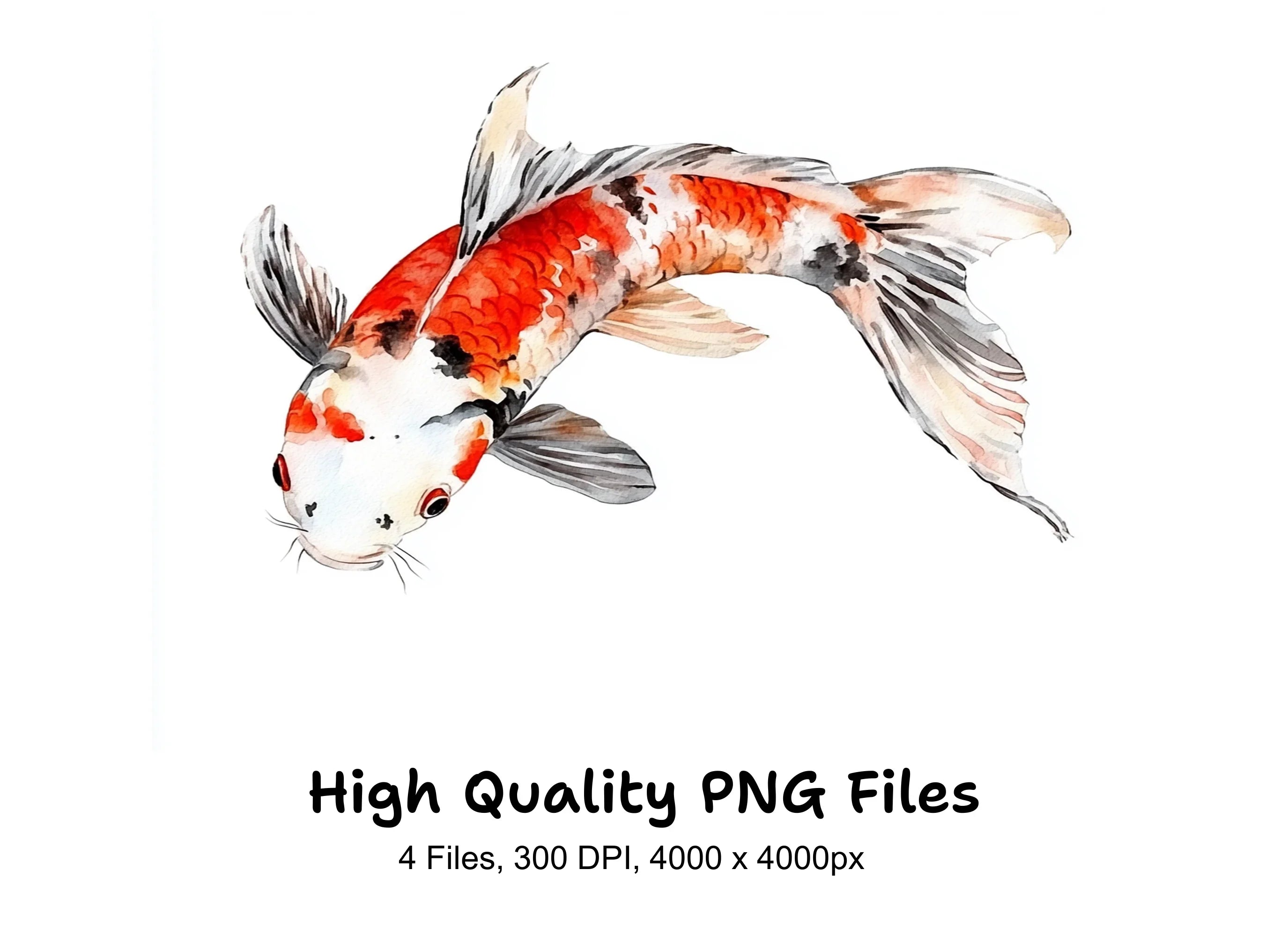 Stunning Koi Fish Clipart Bundle