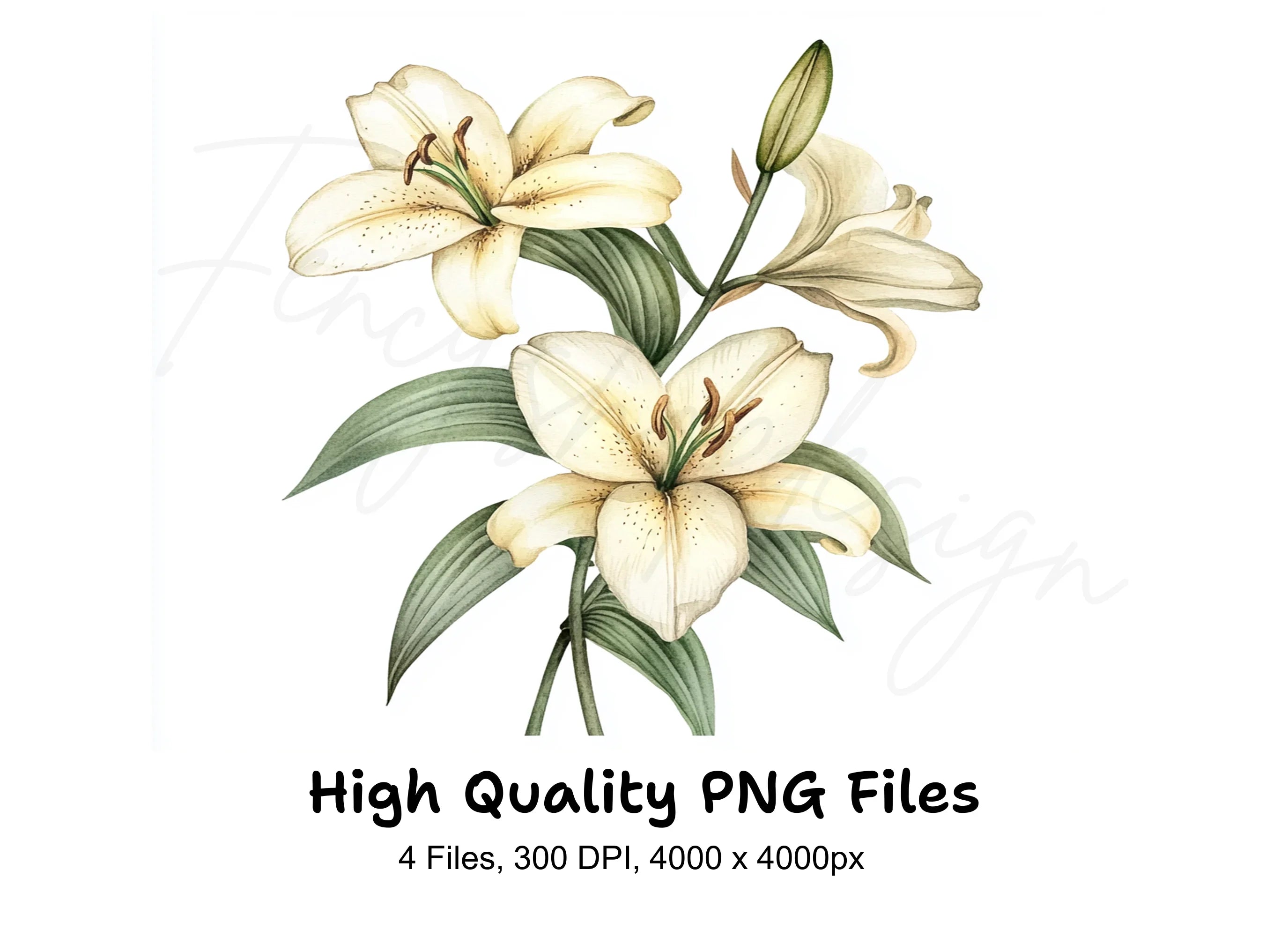 Soft Yellow Lily Flower Clipart Bundle