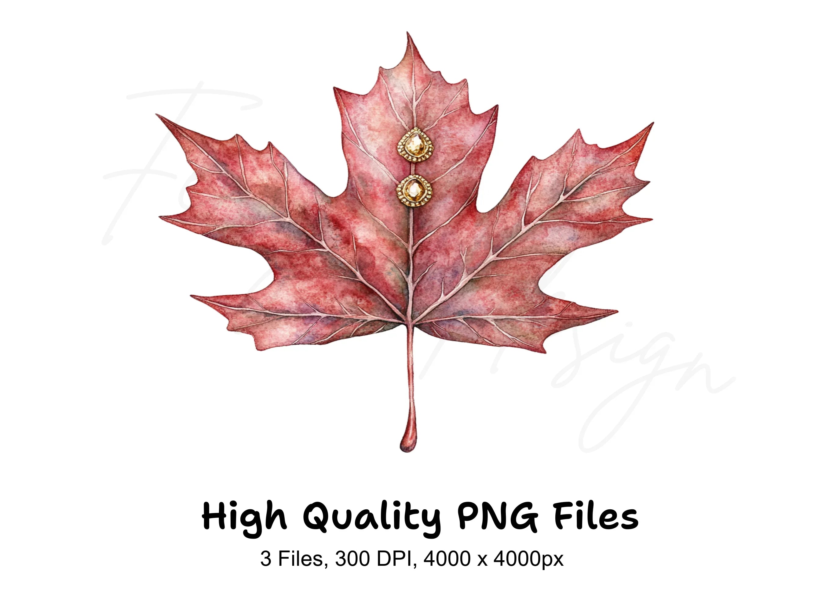 Golden Embellished Maple Leaves Clipart Bundle