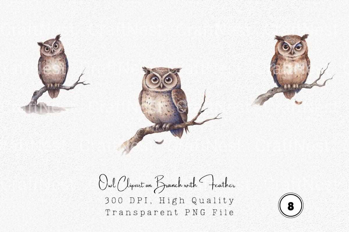 Owl On Branch With Feather Clipart Bundle